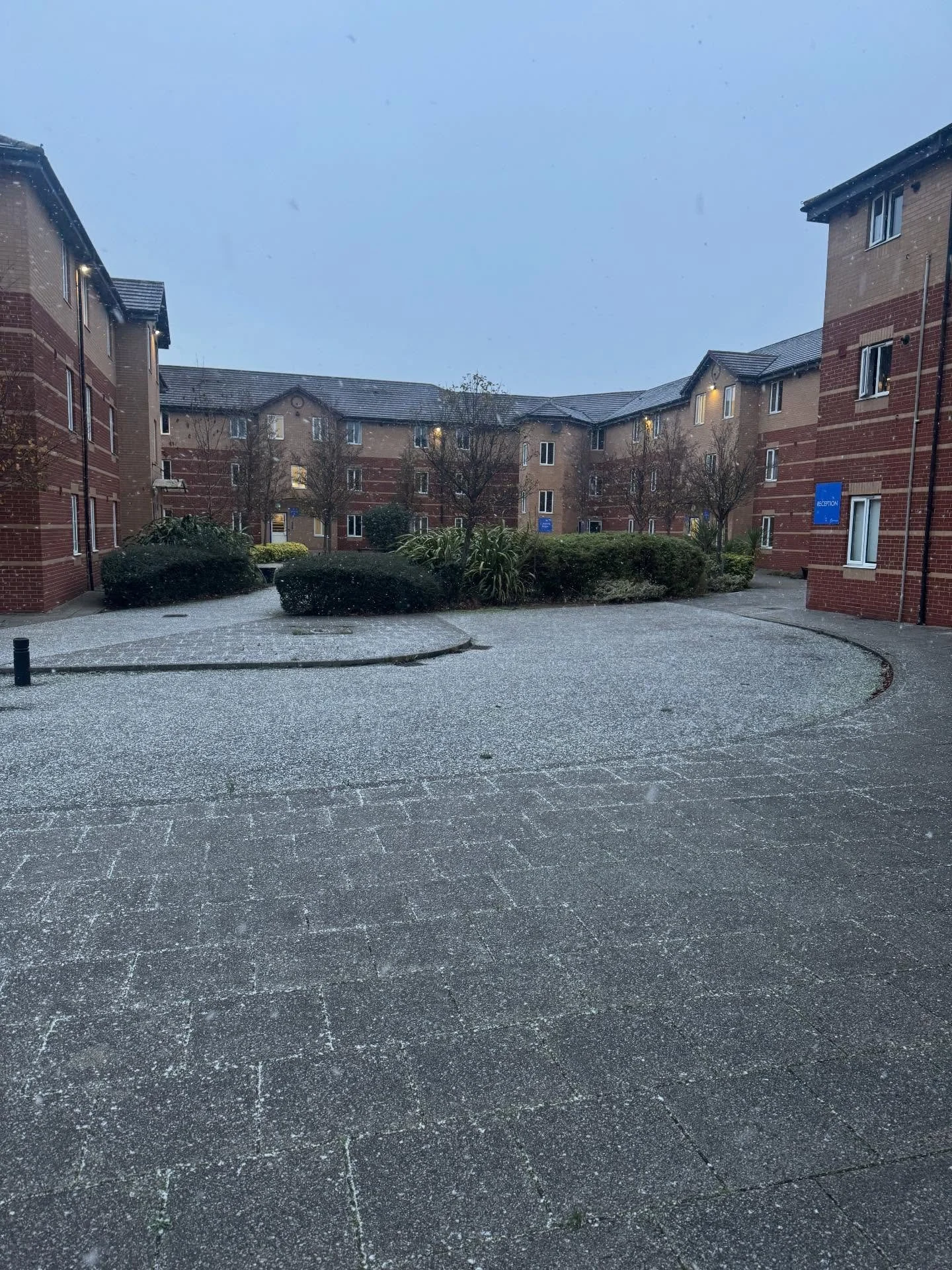 It&rsquo;s beginning to look a lot like 🤭🥶☃️