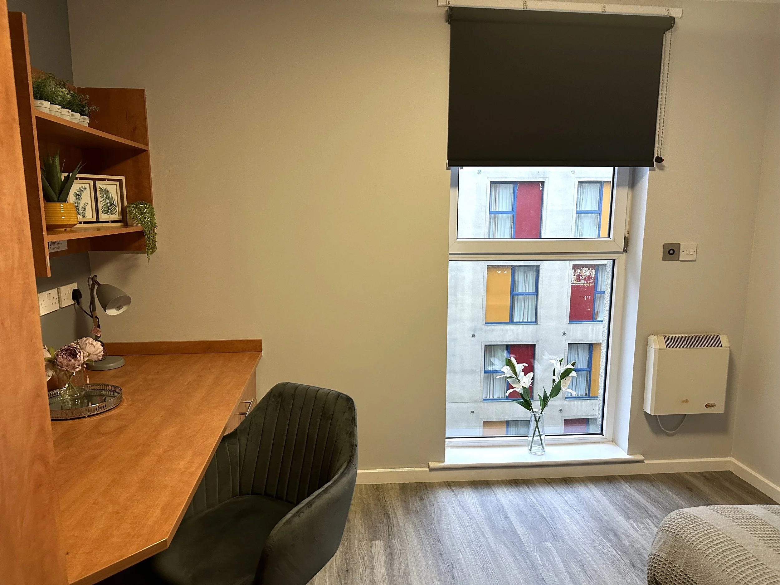 Rialto new rooms 3.jpg