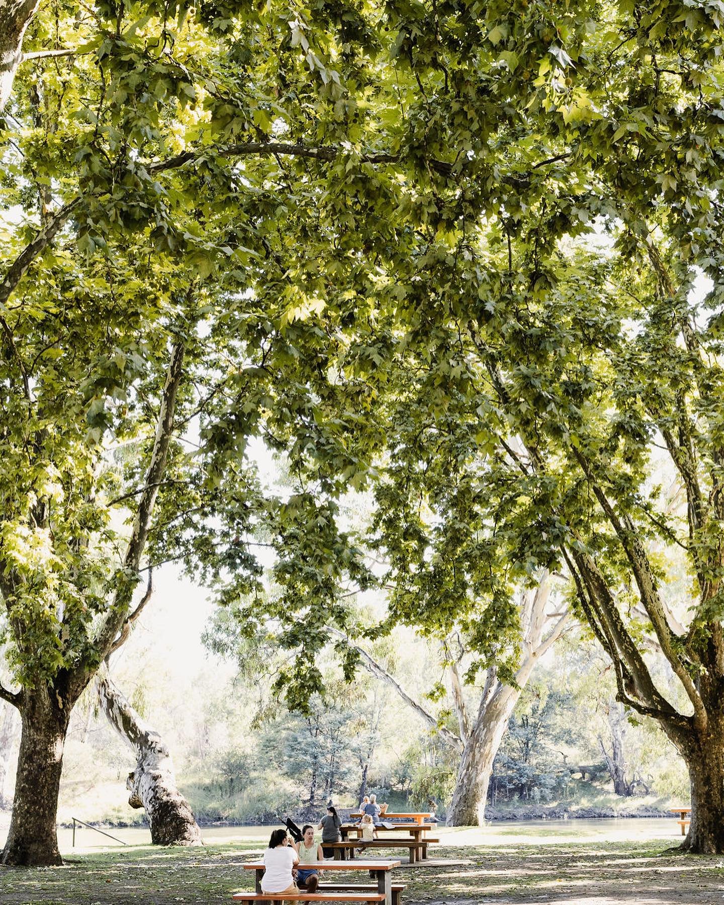 Another beautiful autumn day to spend in the park ☀️🌳