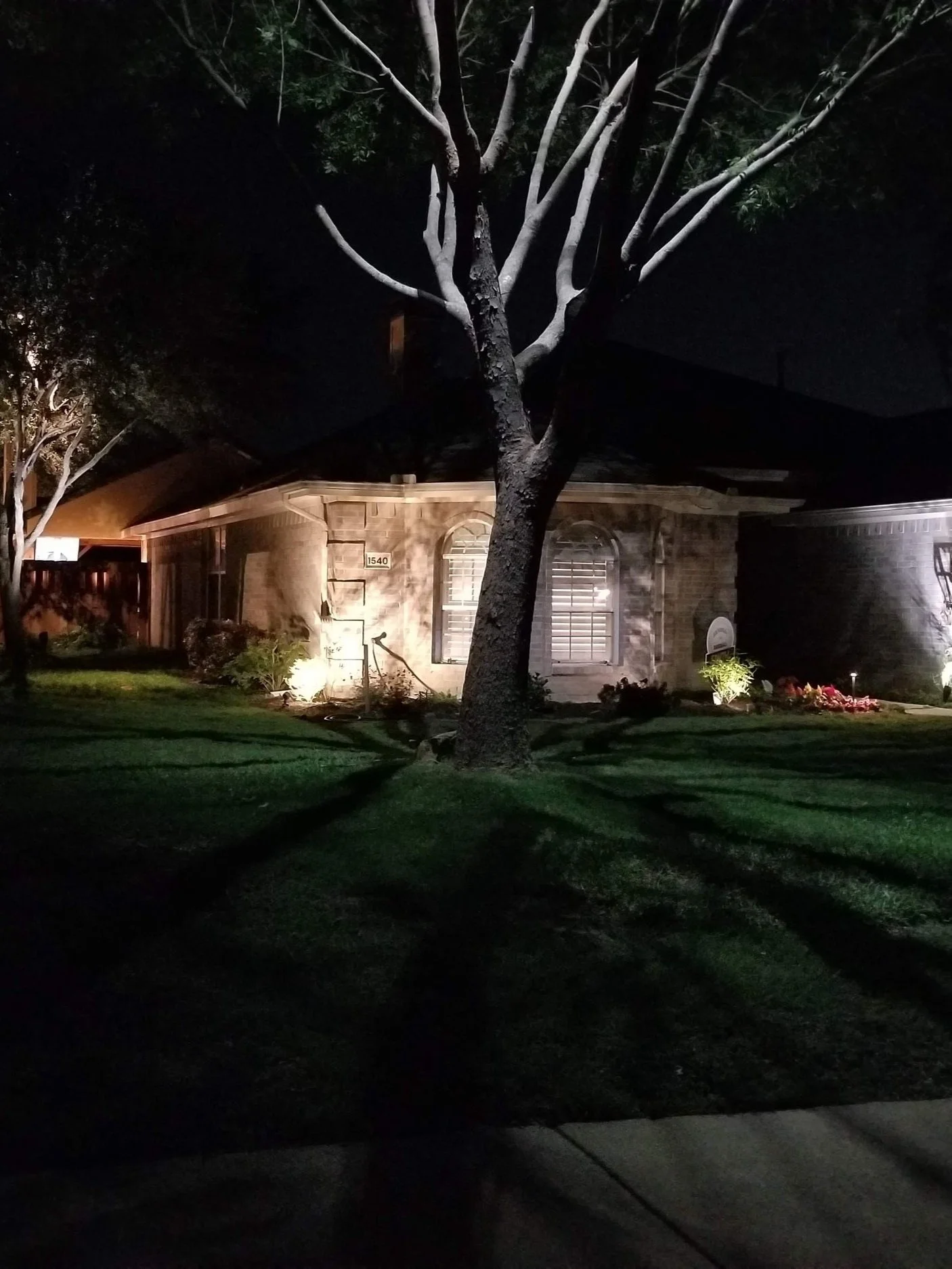 LOW VOLTAGE LIGHTING