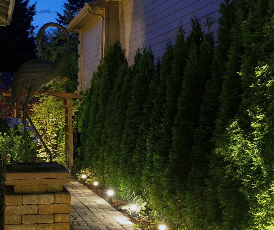 low voltage lighting