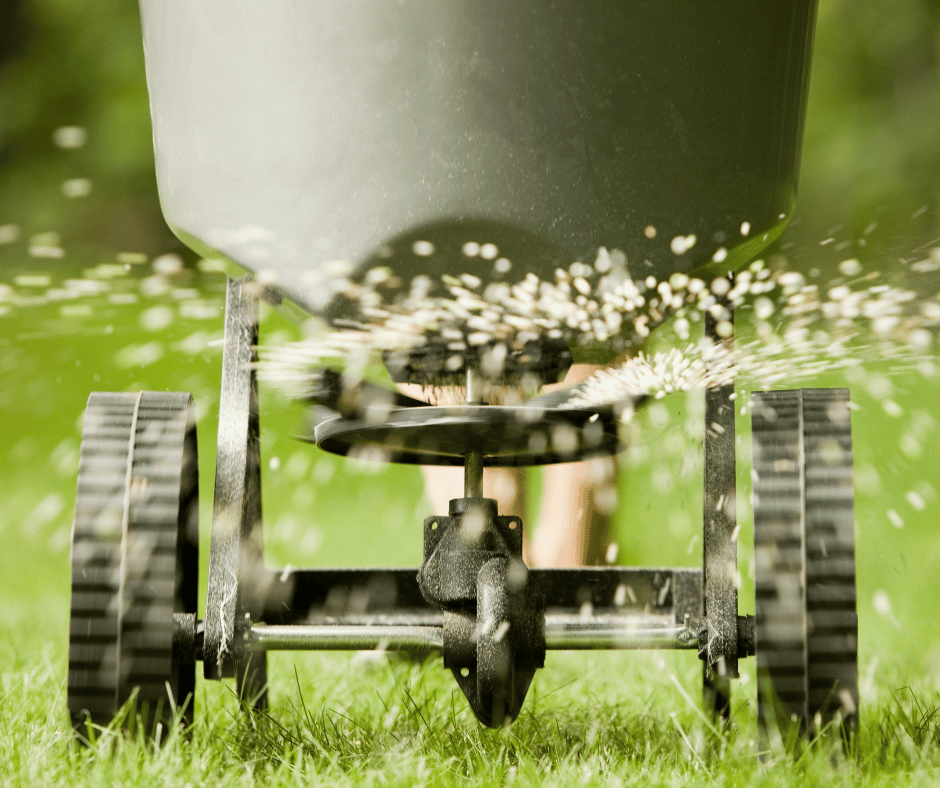 fertilizing your lawn