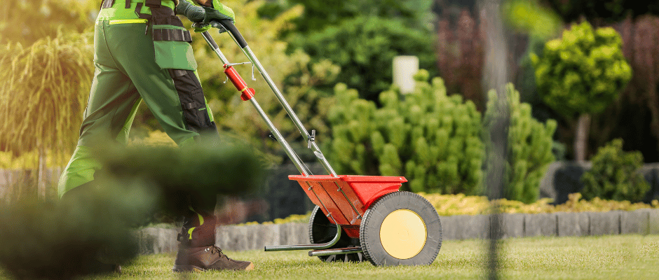ch outdoor designs fertilizing