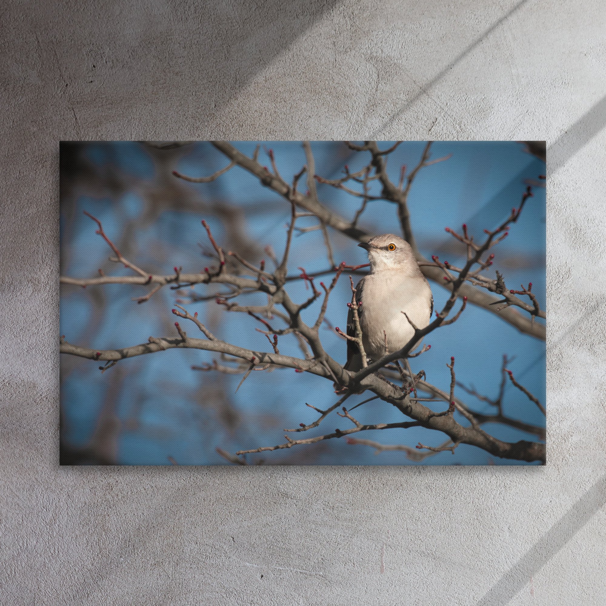 thin-canvas-(in)-24x36-front-663bb8ca5b837.jpg