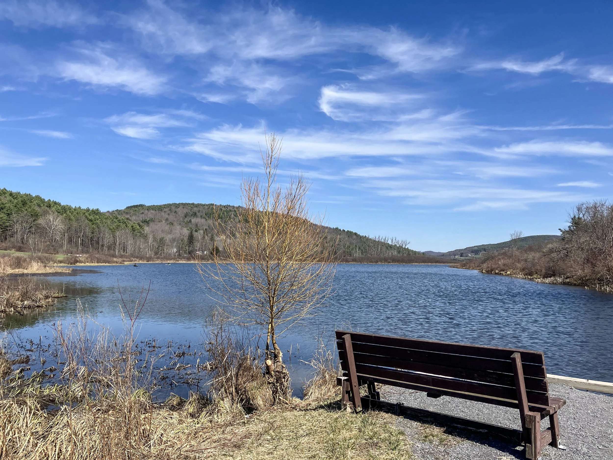 Landscape_2.jpg