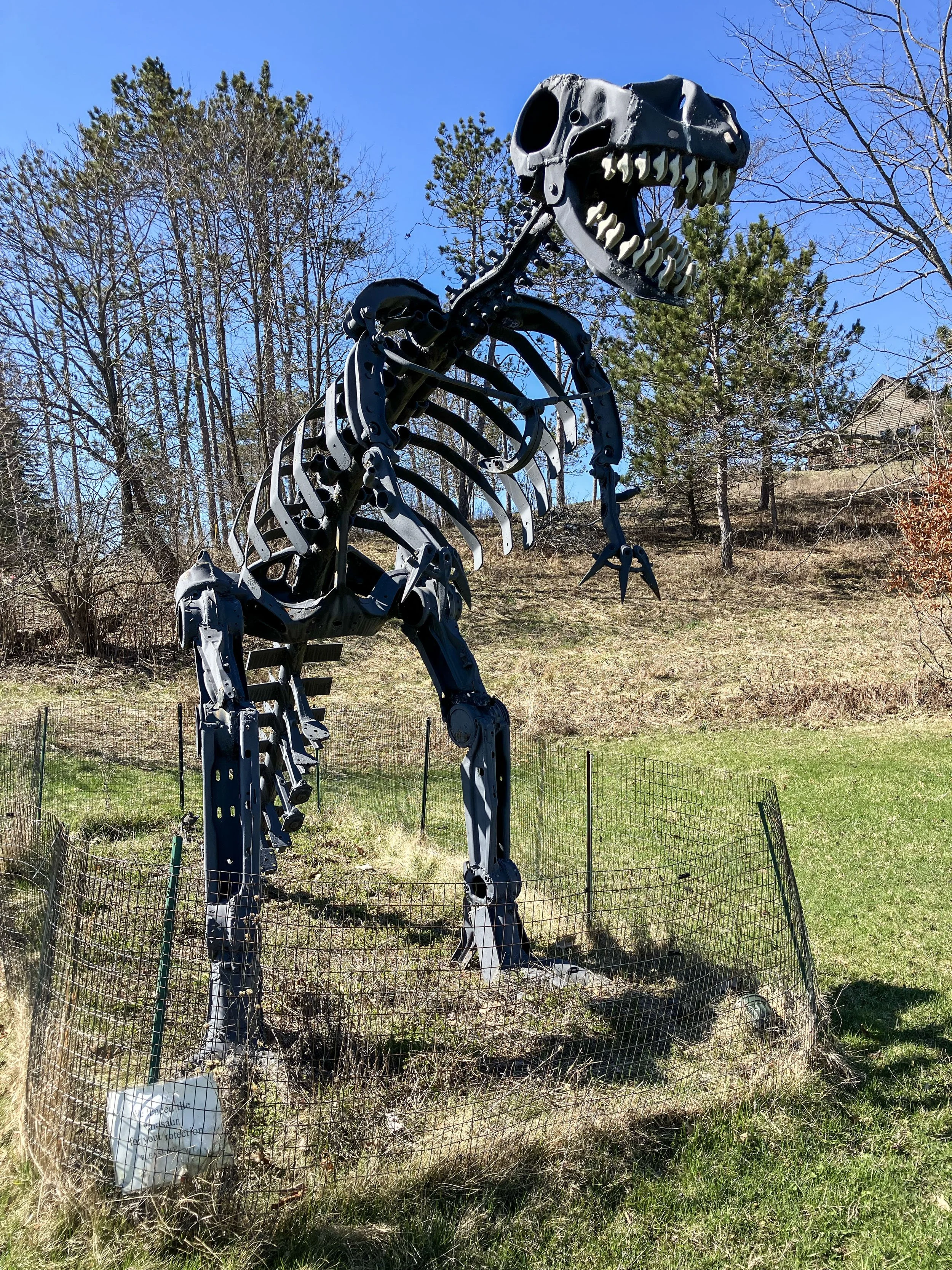 Landis Arboretum_2.jpg