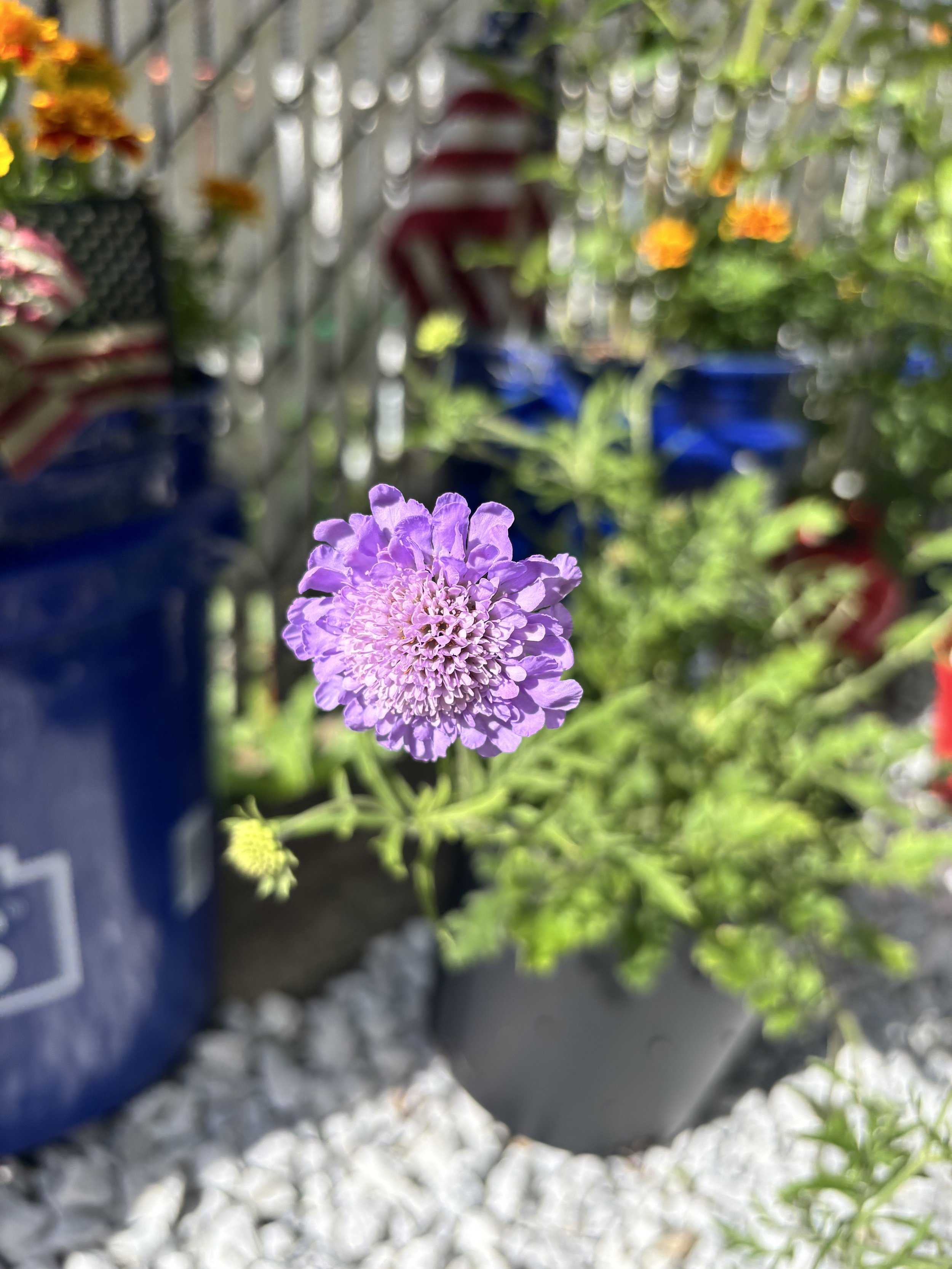 IMG_4072.jpeg