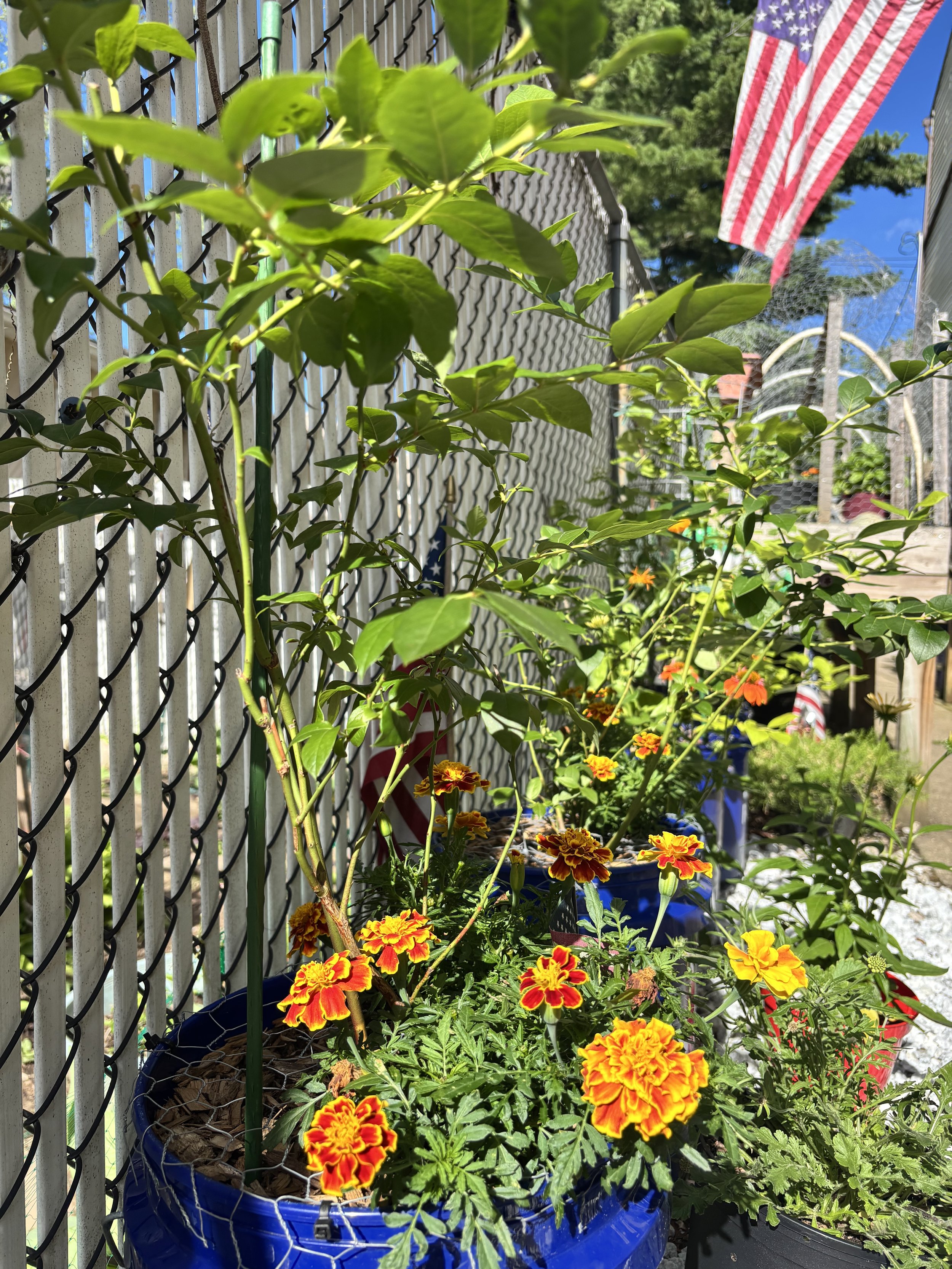 IMG_4069.jpeg
