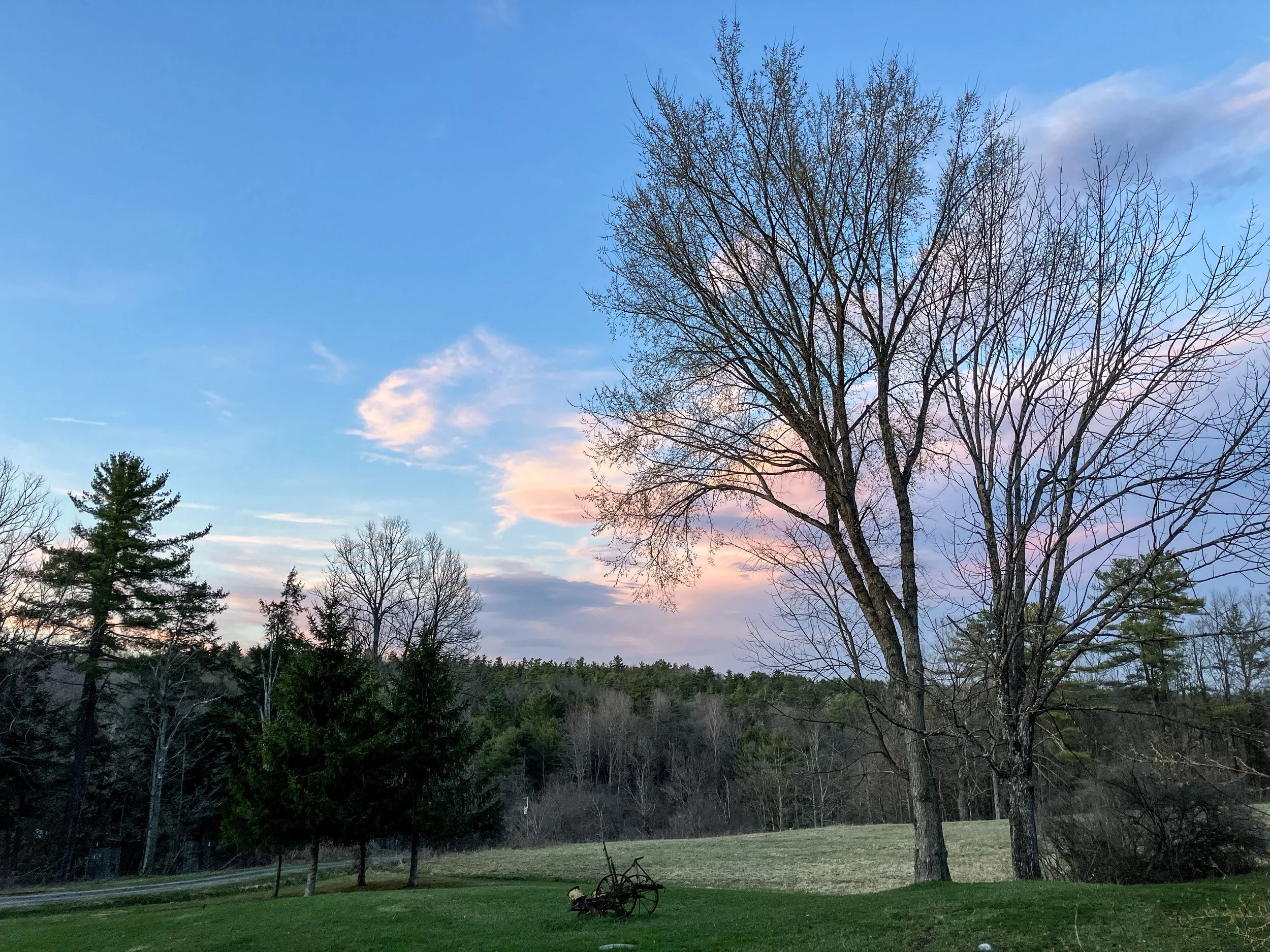 Landscape_1.jpg