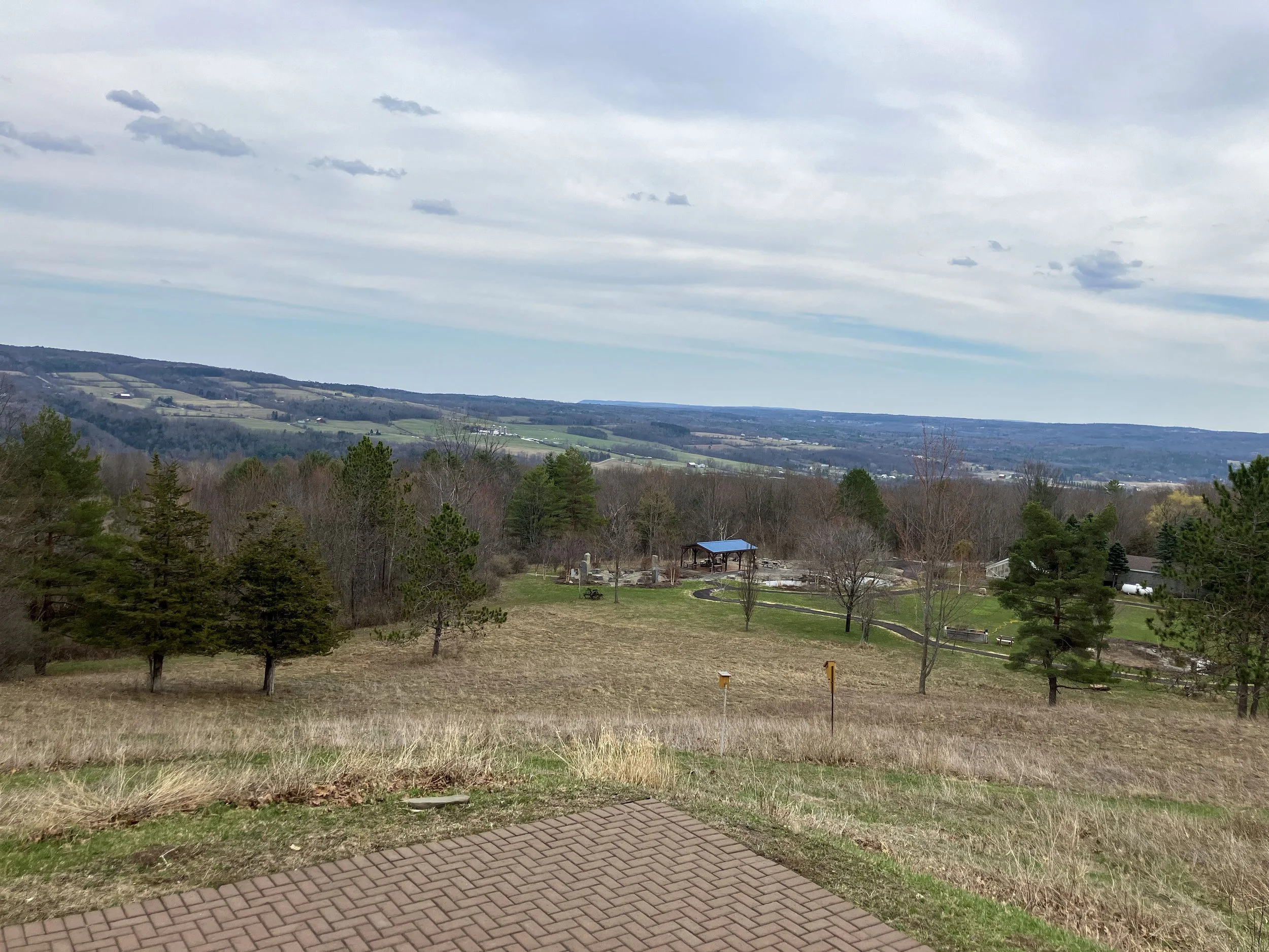 Landis Arboretum_1.jpg