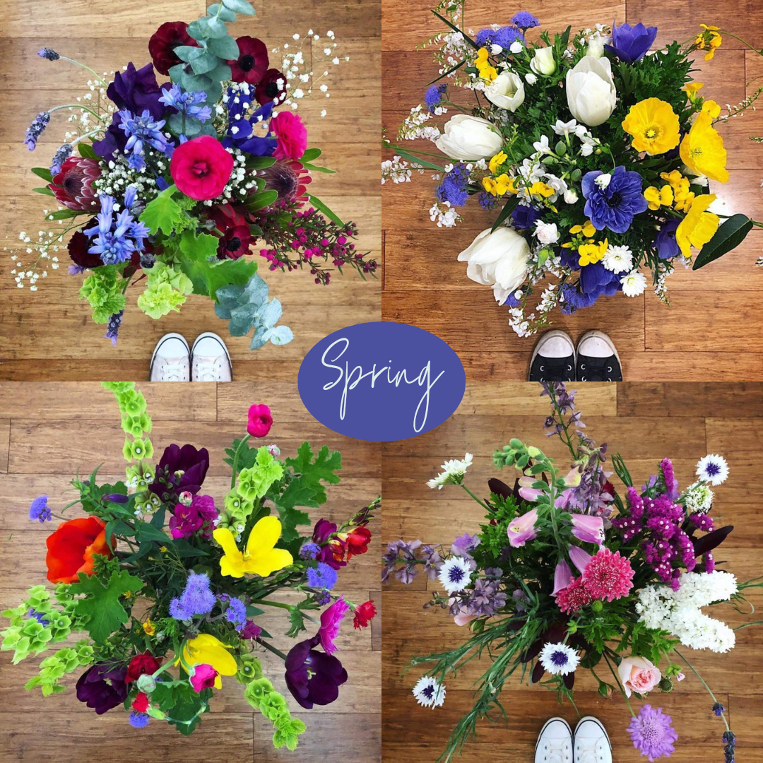 Spring.png