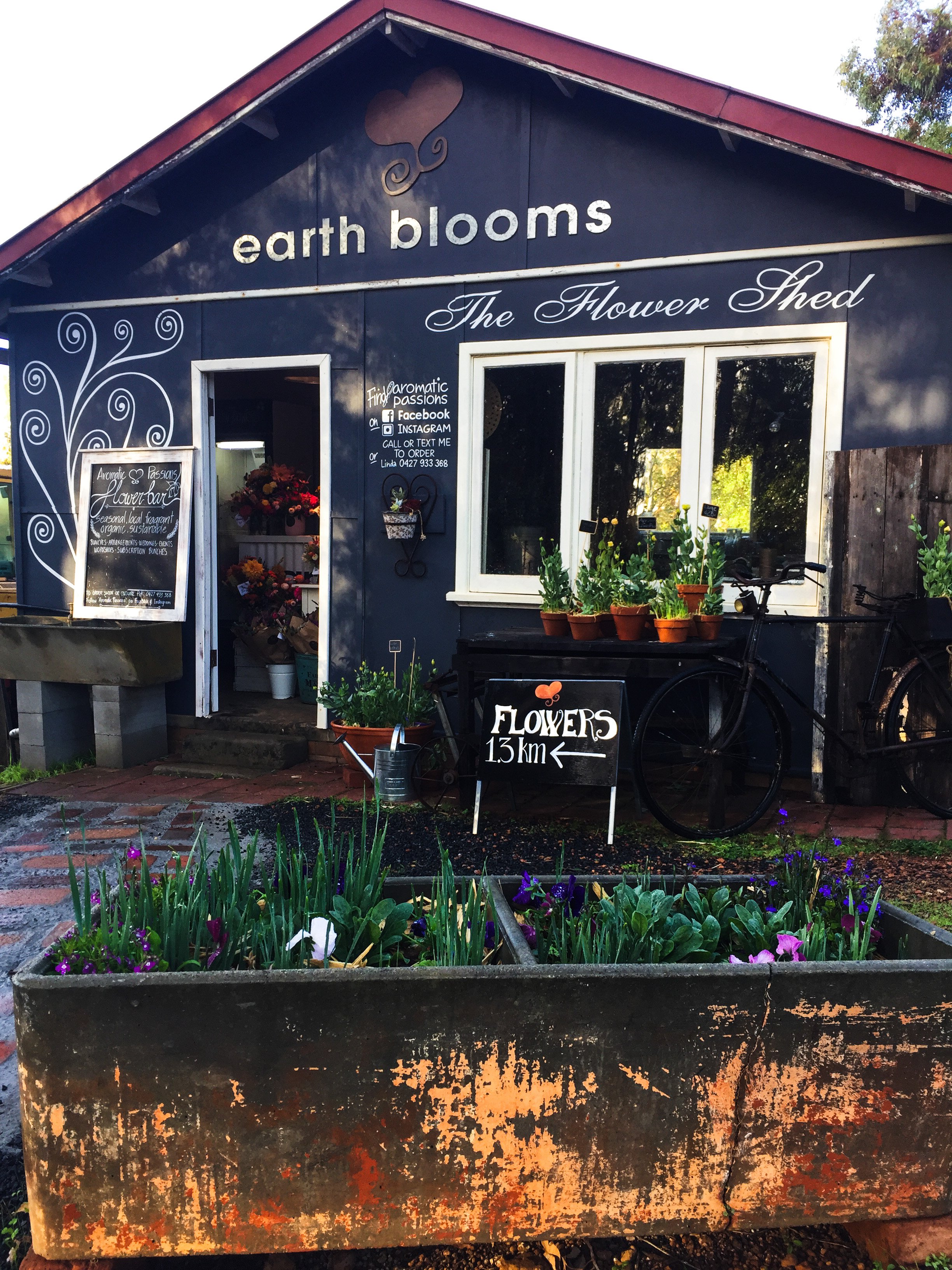 Earth Blooms Bridgetown