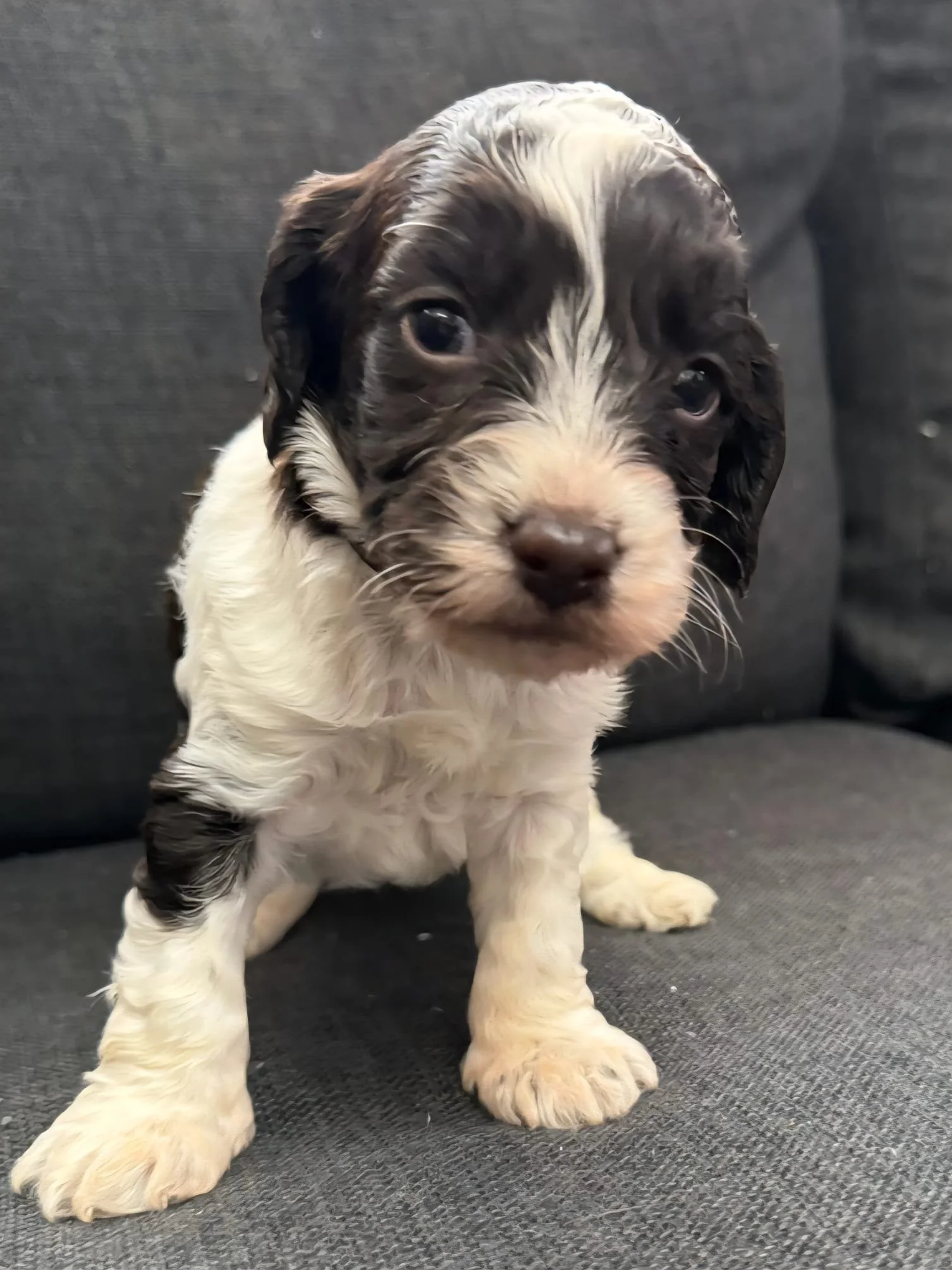 WhatsApp Image 2025-08-23 at 18.30.55.jpeg