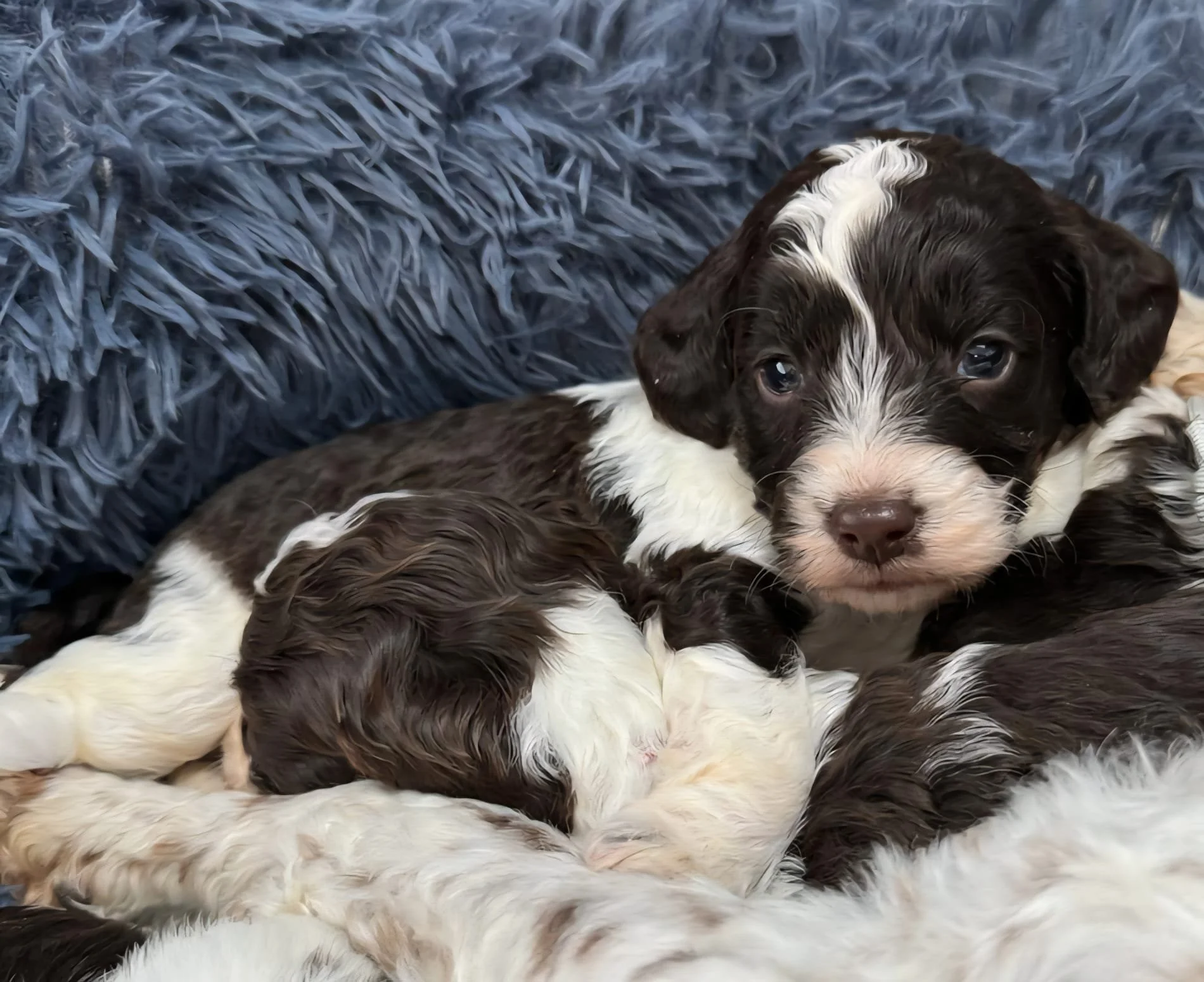 WhatsApp Image 2025-08-23 at 18.30.13.jpeg