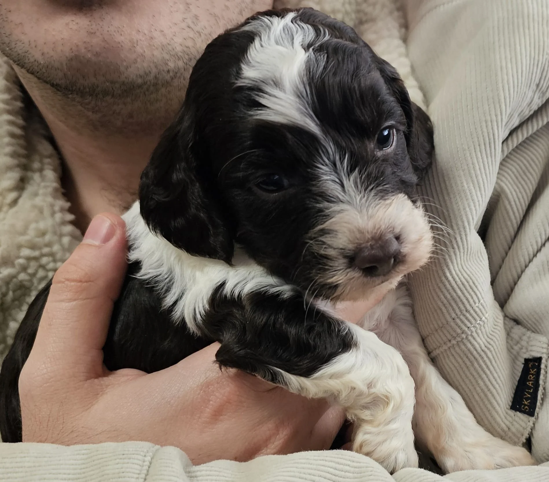 WhatsApp Image 2025-08-23 at 18.28.14.jpeg