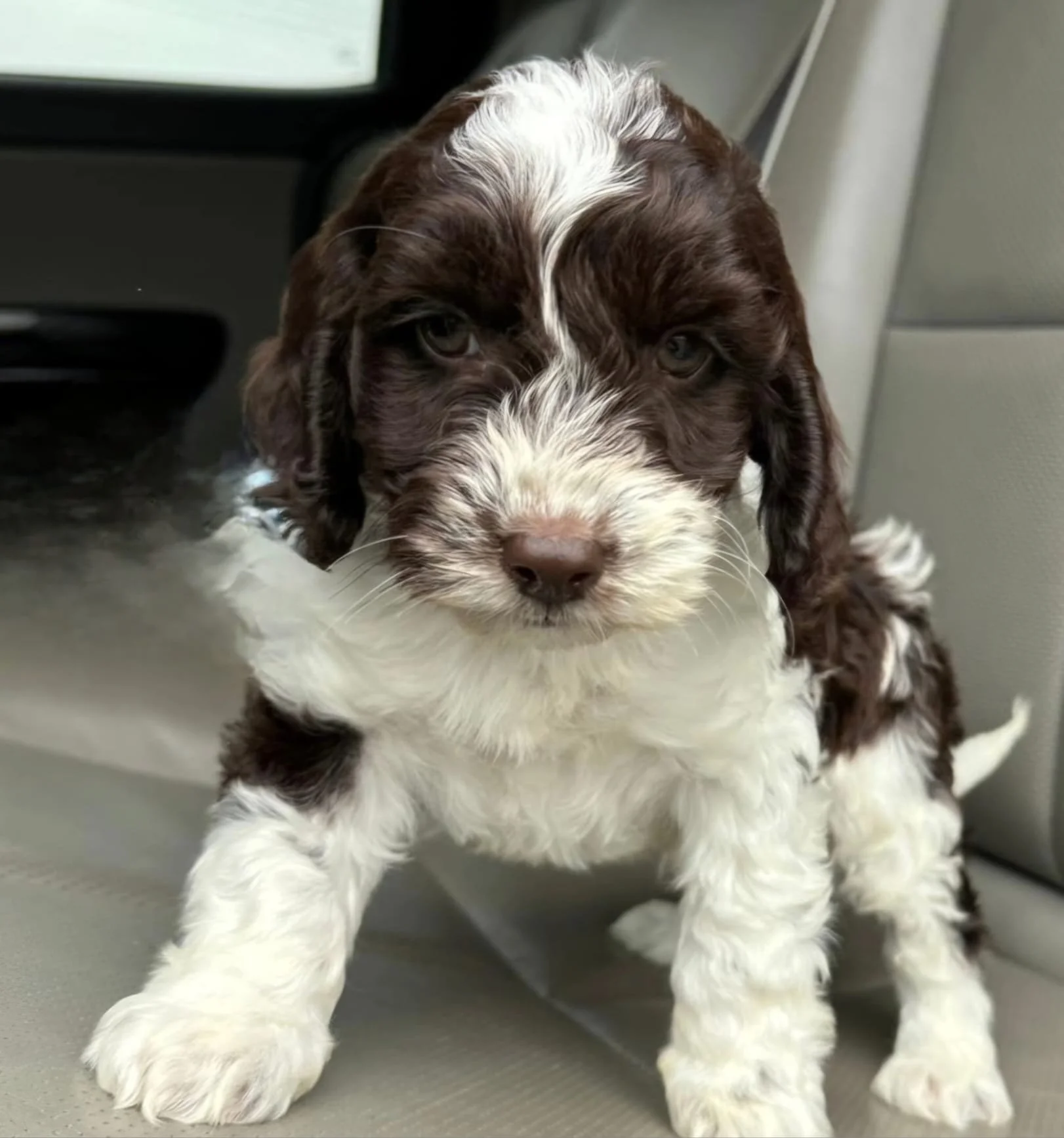 WhatsApp Image 2025-08-23 at 18.31.25.jpeg