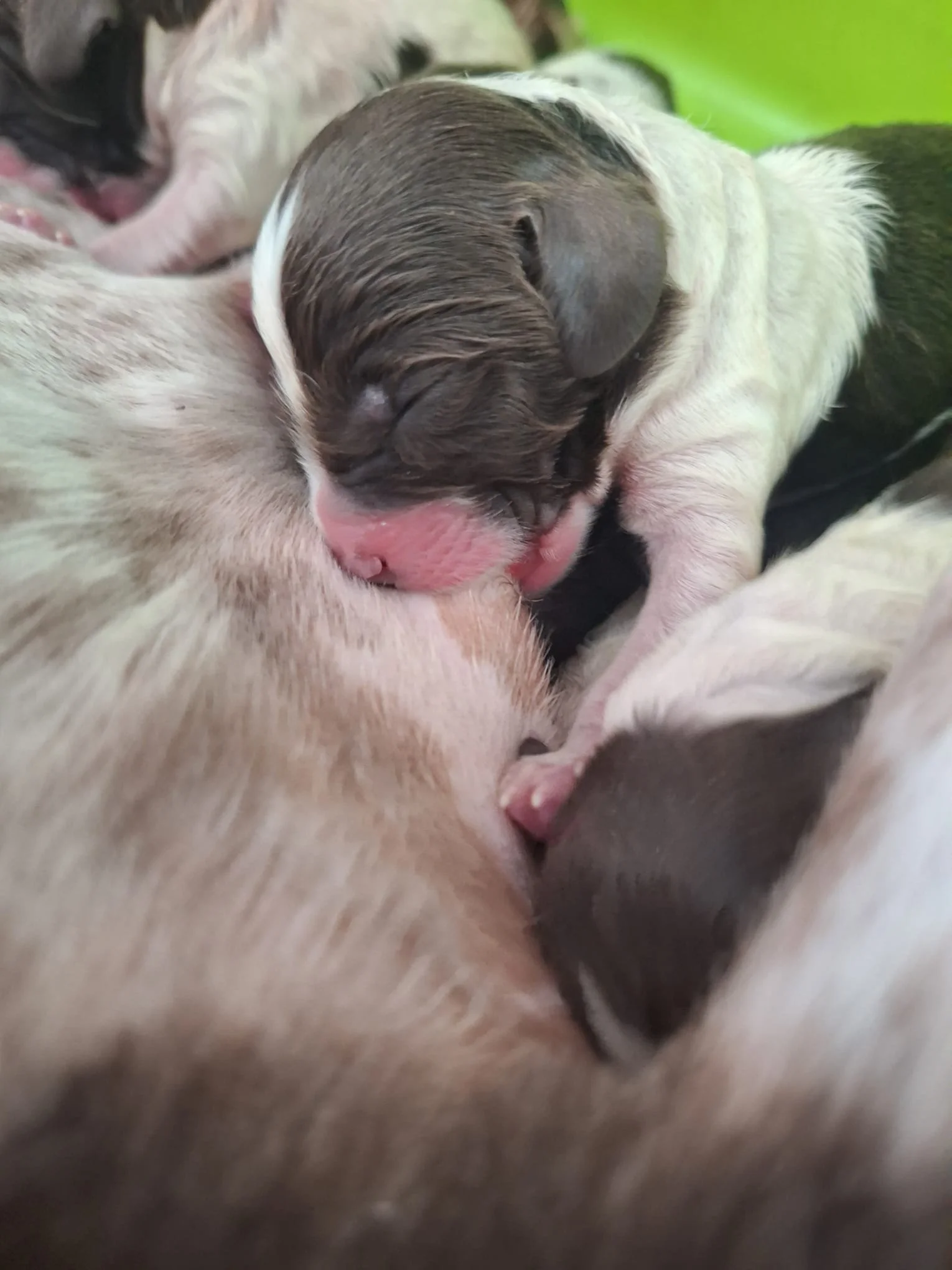 WhatsApp Image 2025-08-23 at 18.27.38.jpeg