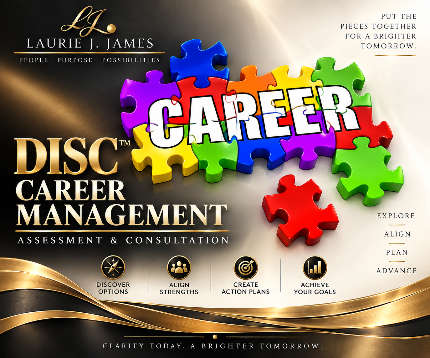 DISC™ Career Management Assessment & Consultation