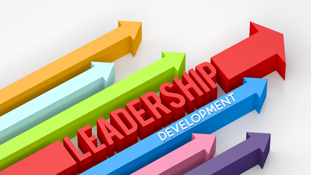 Leadership Development Assistance