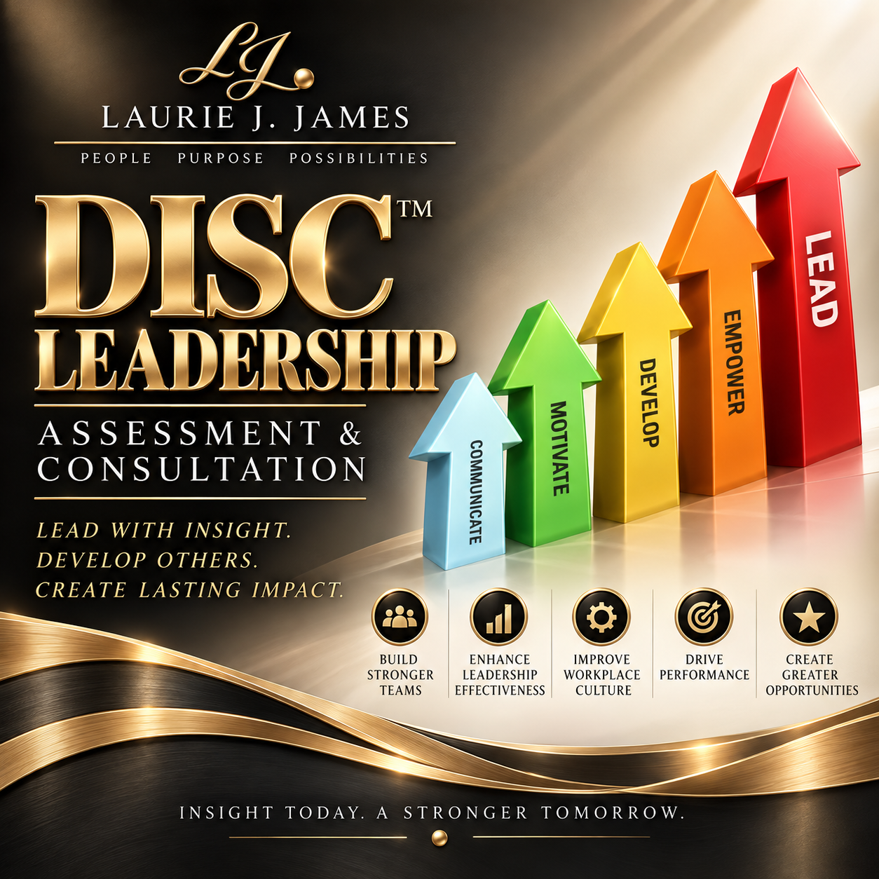 DISC™ Leadership Assessment & Consultation
