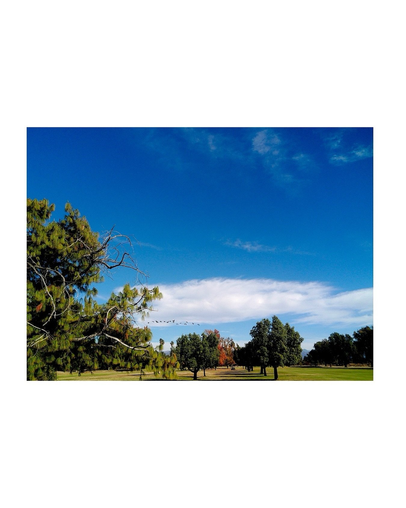 Woodley Lakes Beer Club. 
.
.
.
.
.
.
.
.
#socialclub #wine #golf #skincontact #nattywine #golfstyle #winetasting #fairwayfits #golffits #golfkicks #myfairwayfit #hypegolf #RooseveltWineClub #golfkhakis #ald #aimeleondore #aimegolf #footjoy #malbongo