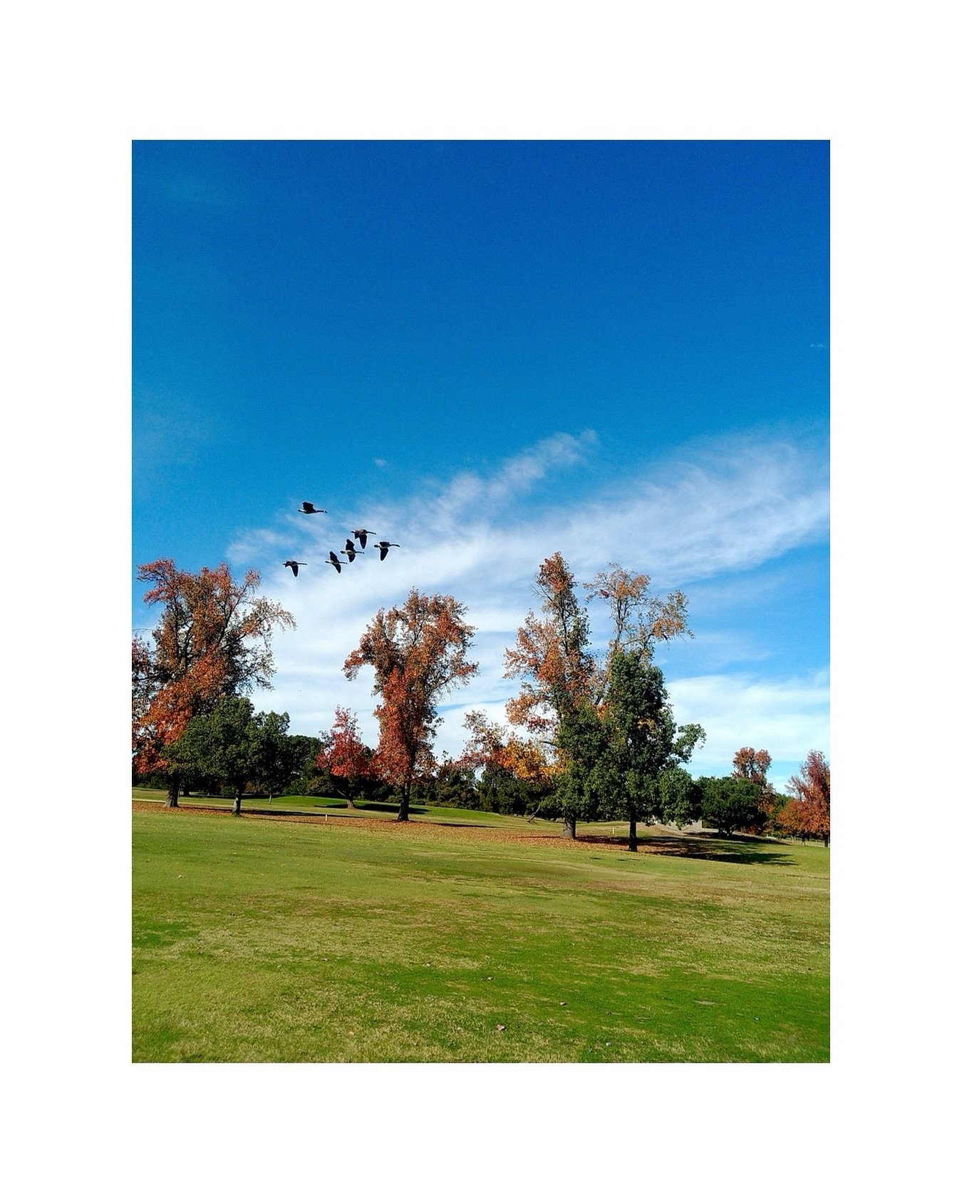 Woodley Lakes Beer Club. 
.
.
.
.
.
.
.
.
#socialclub #wine #golf #skincontact #nattywine #golfstyle #winetasting #fairwayfits #golffits #golfkicks #myfairwayfit #hypegolf #RooseveltWineClub #golfkhakis #ald #aimeleondore #aimegolf #footjoy #malbongo