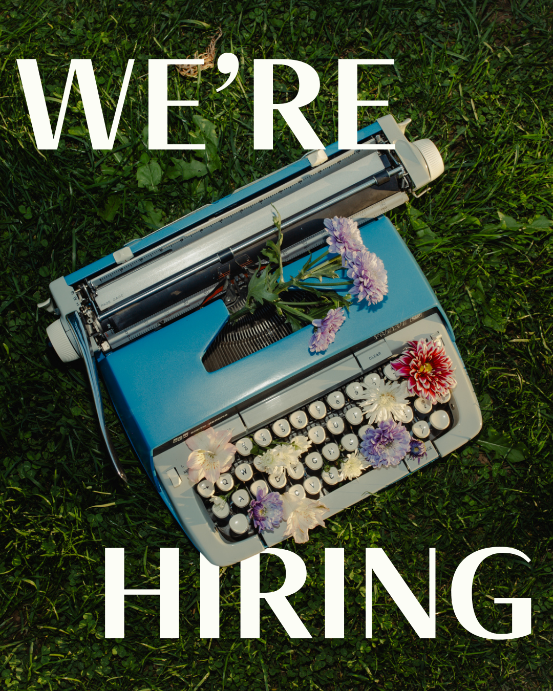 We're Hiring a Social Media StrategisT