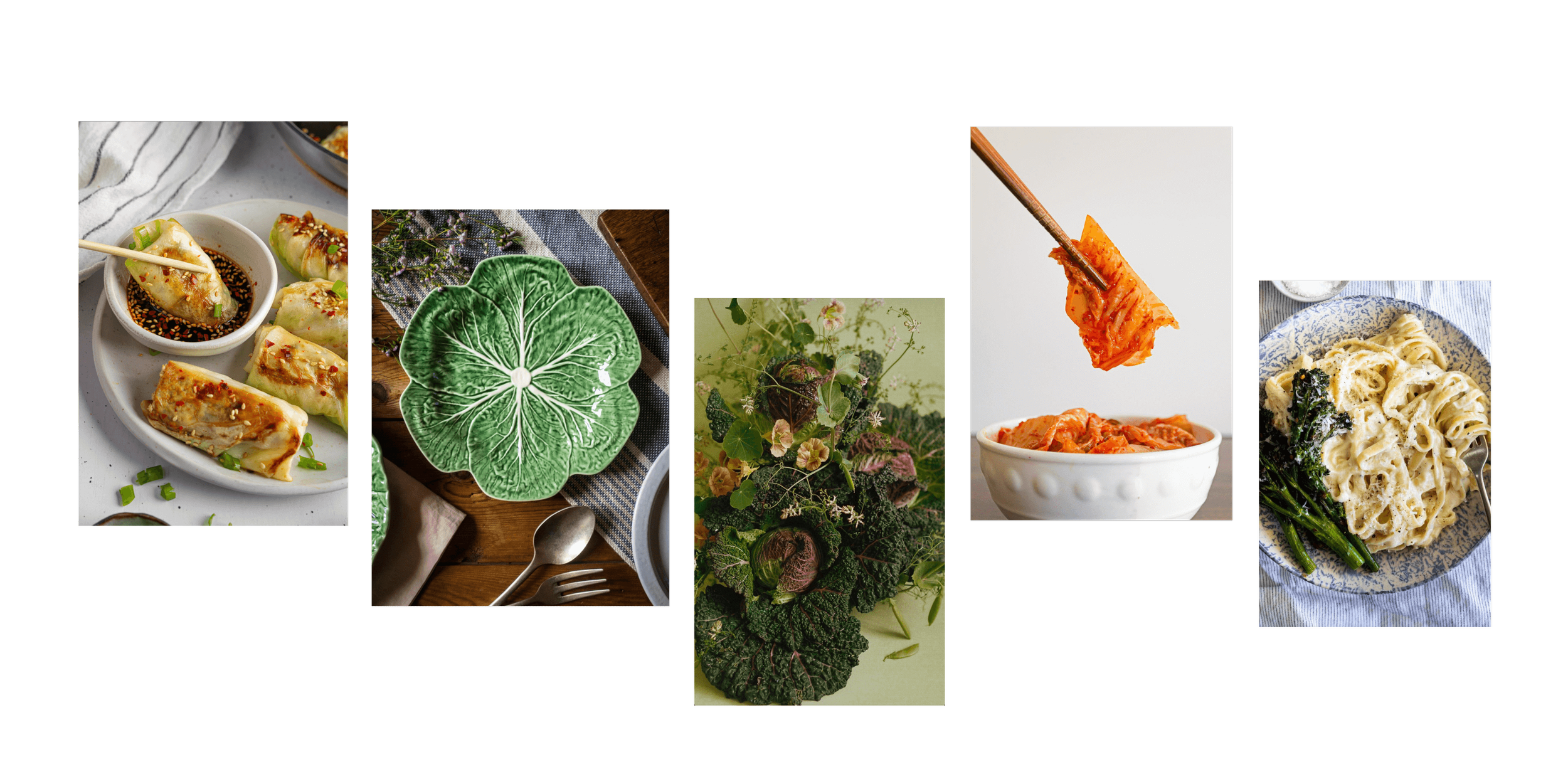 Pinterest Predicts: Cabbage Crush