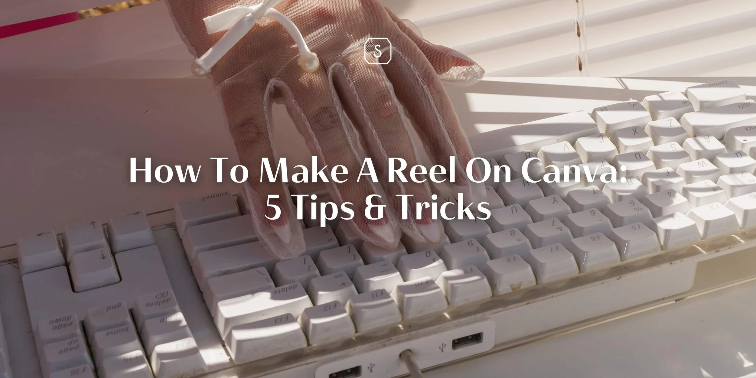How To Make a Reel on Canva: 5 Tips & Tricks