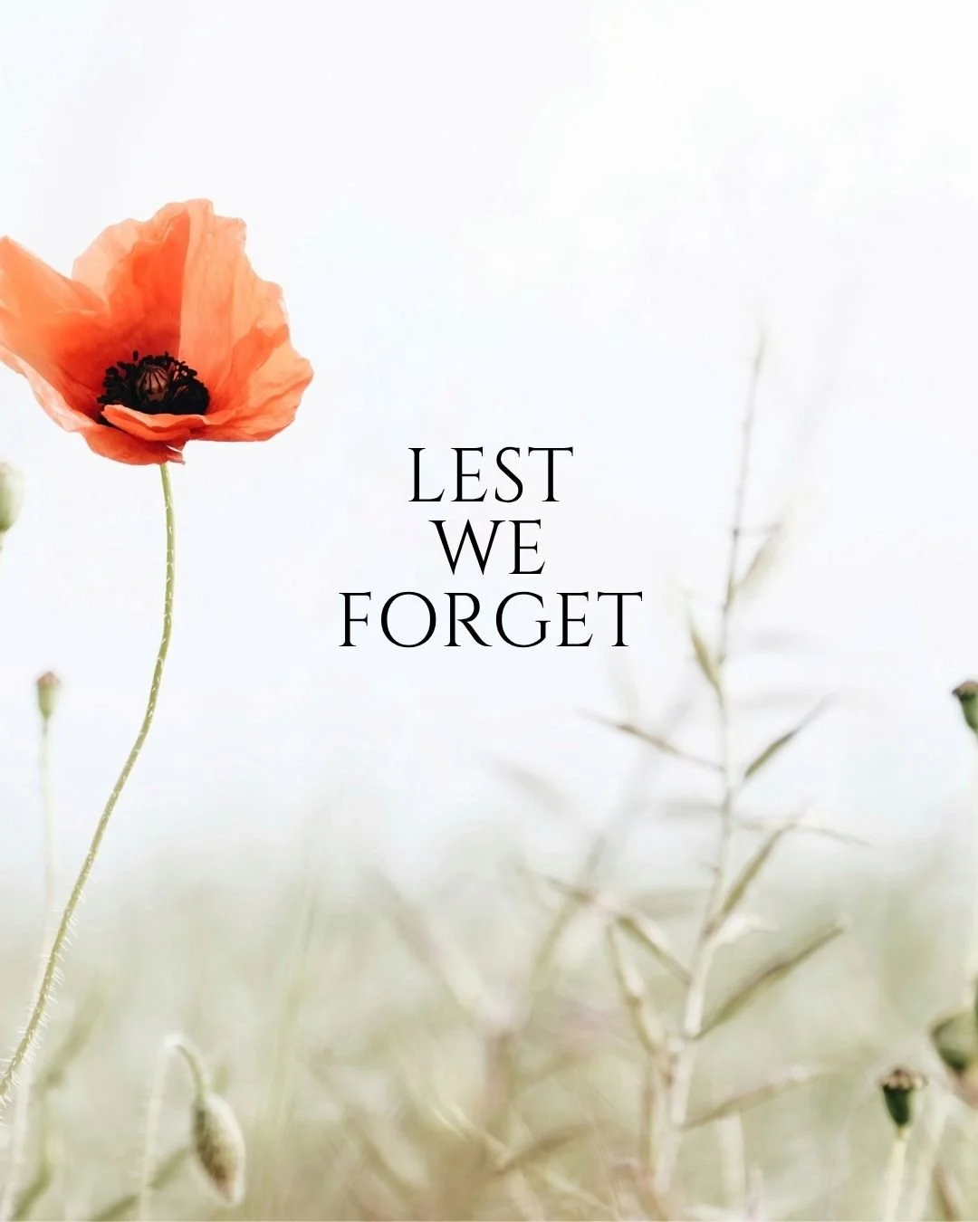 Today we pause to remember and honour the courage, sacrifice and service of all Australians and New Zealanders who have served, and continue to serve.

We will remember them.

#anzacday #lestweforget