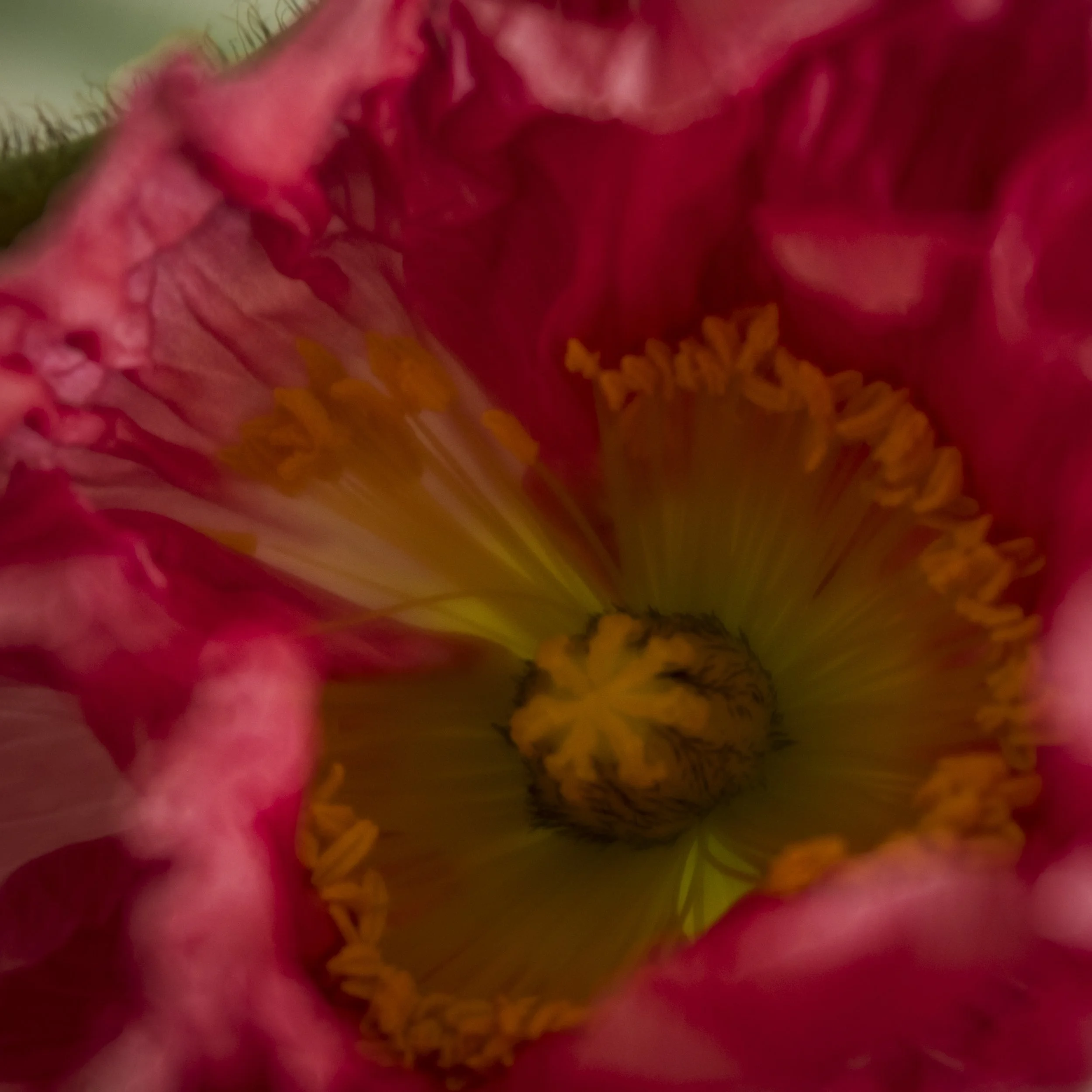 DSCF8209.jpg