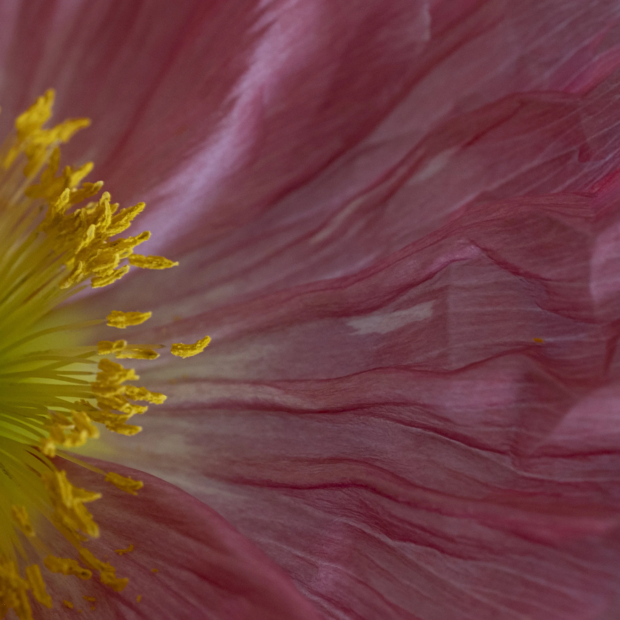 DSCF8274.jpg