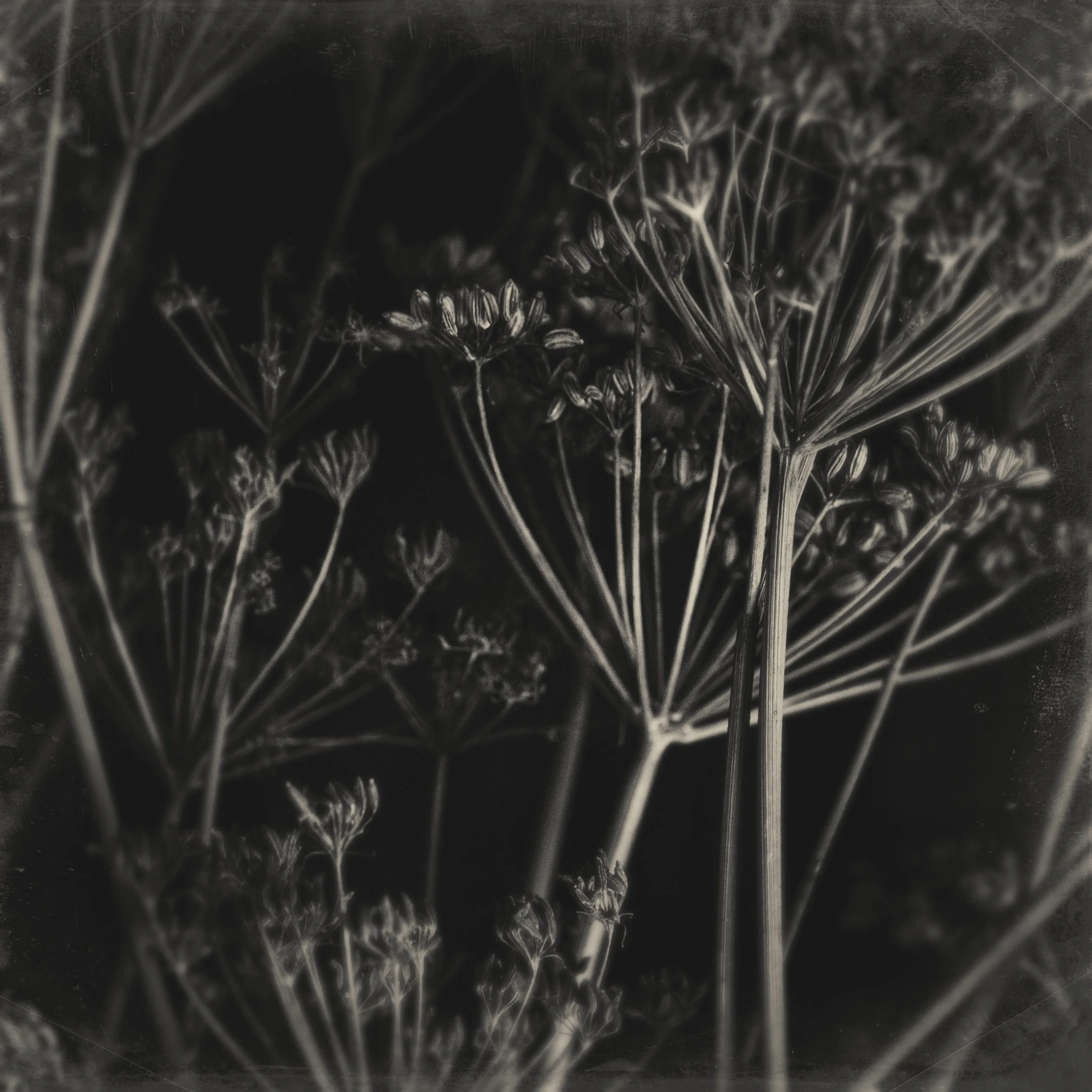DSCF2409-Edit.jpg