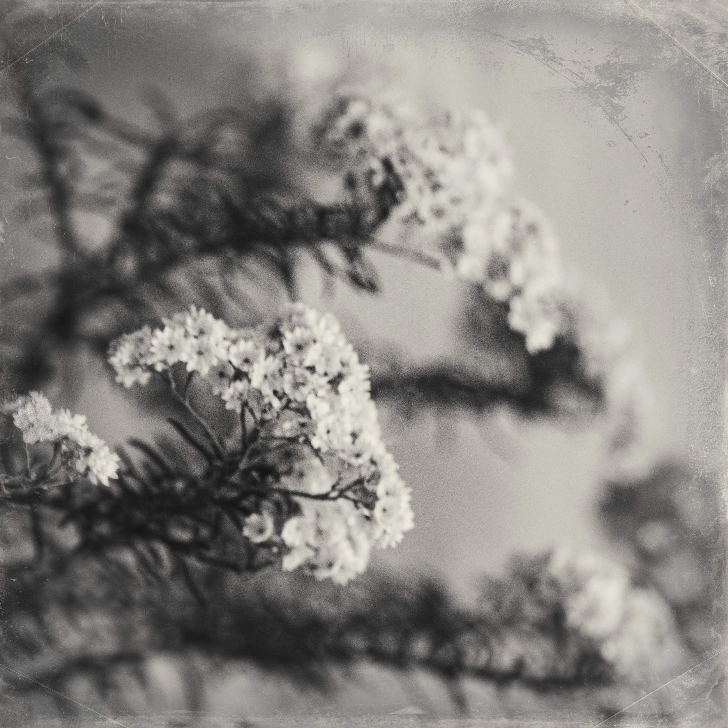 _DSF2243-Edit.jpg