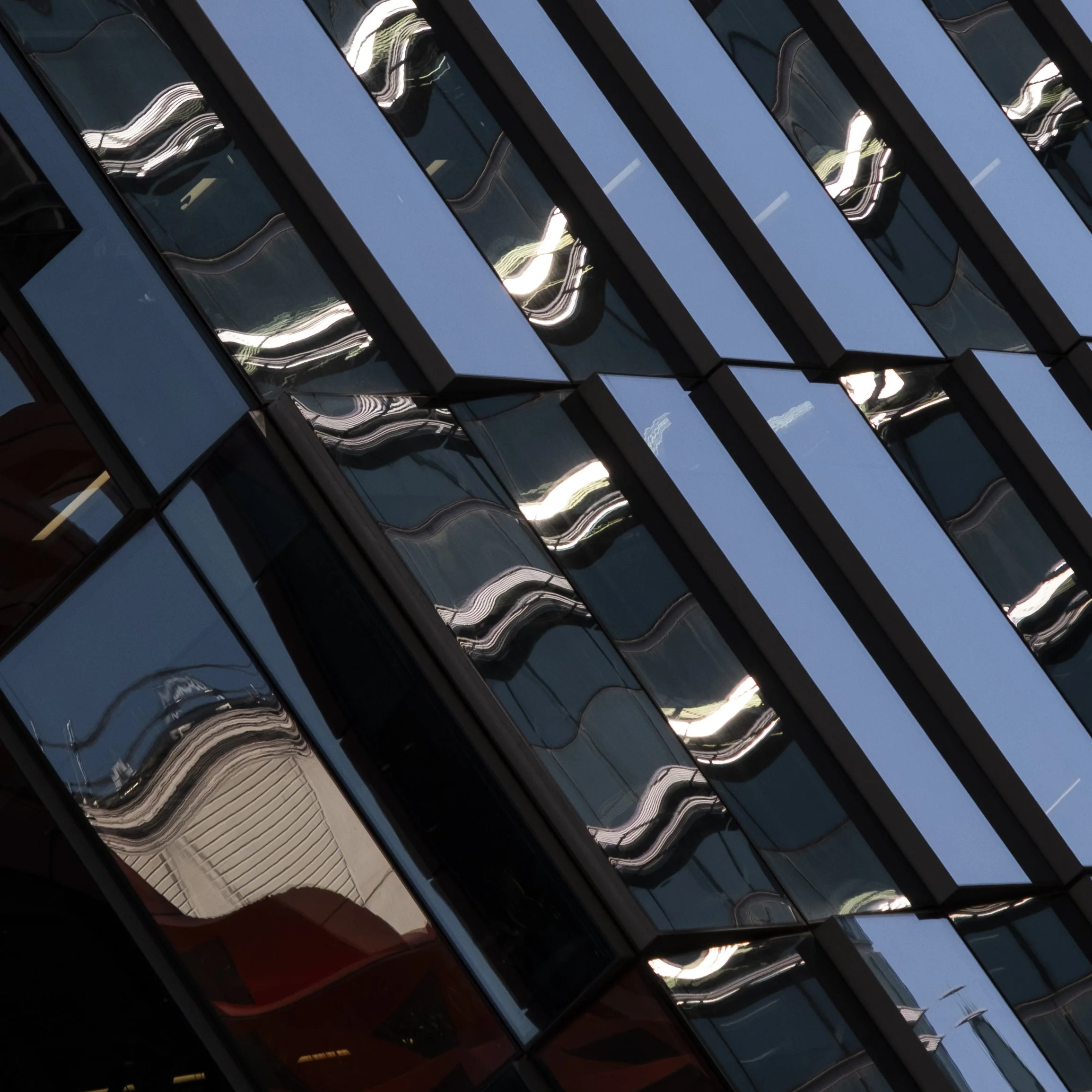 DSCF1795.jpg