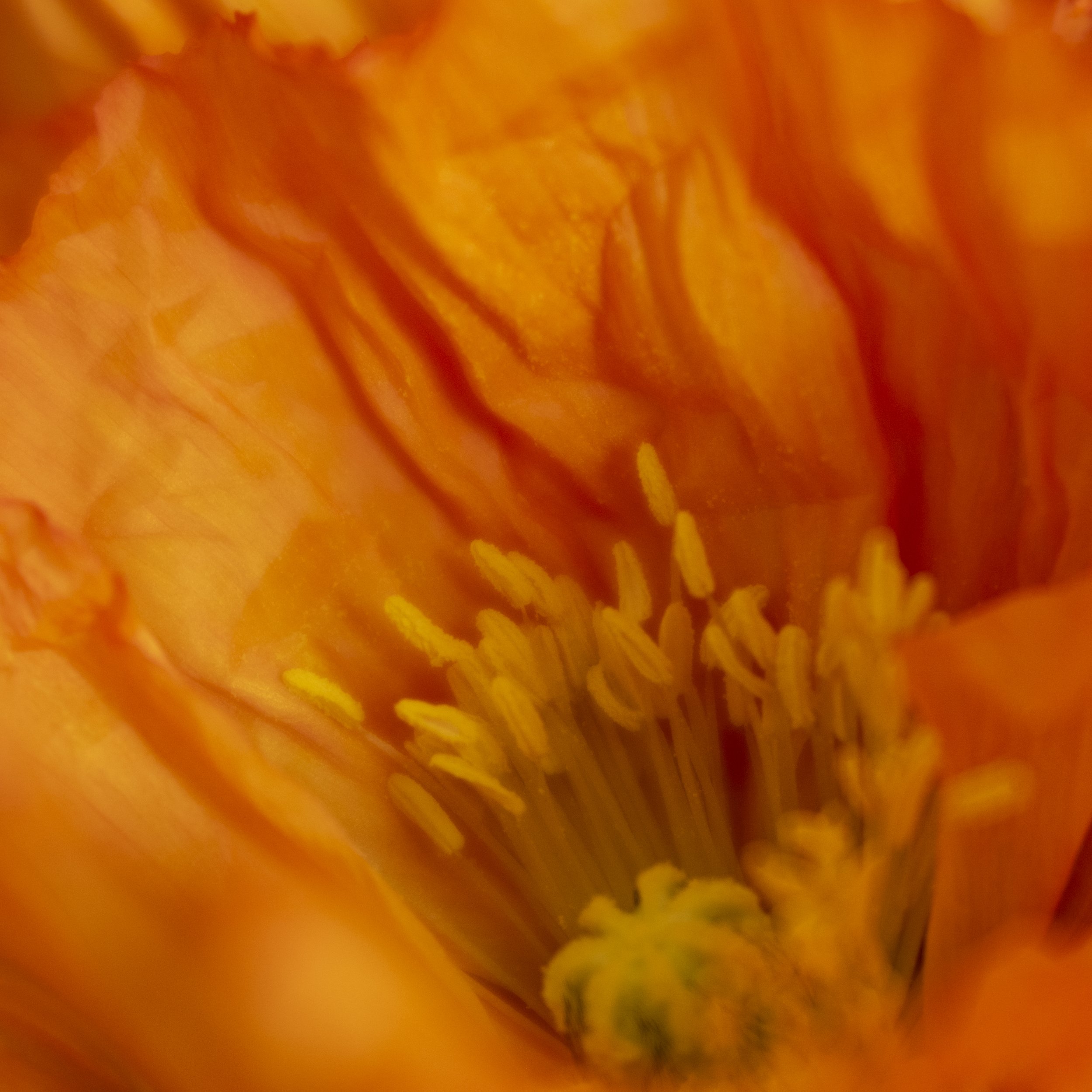 DSCF8185.jpg
