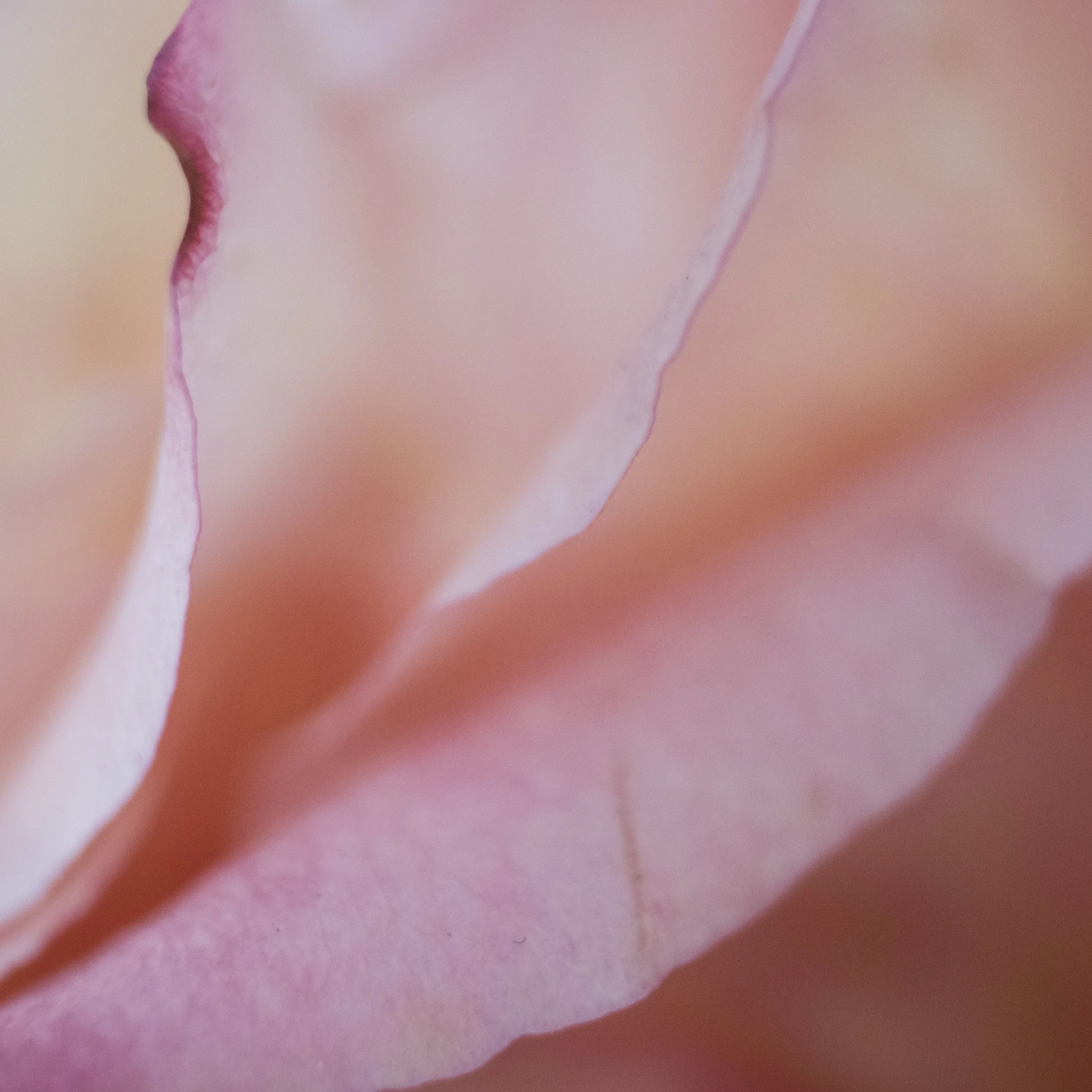 DSCF4215_migrated-2.jpg