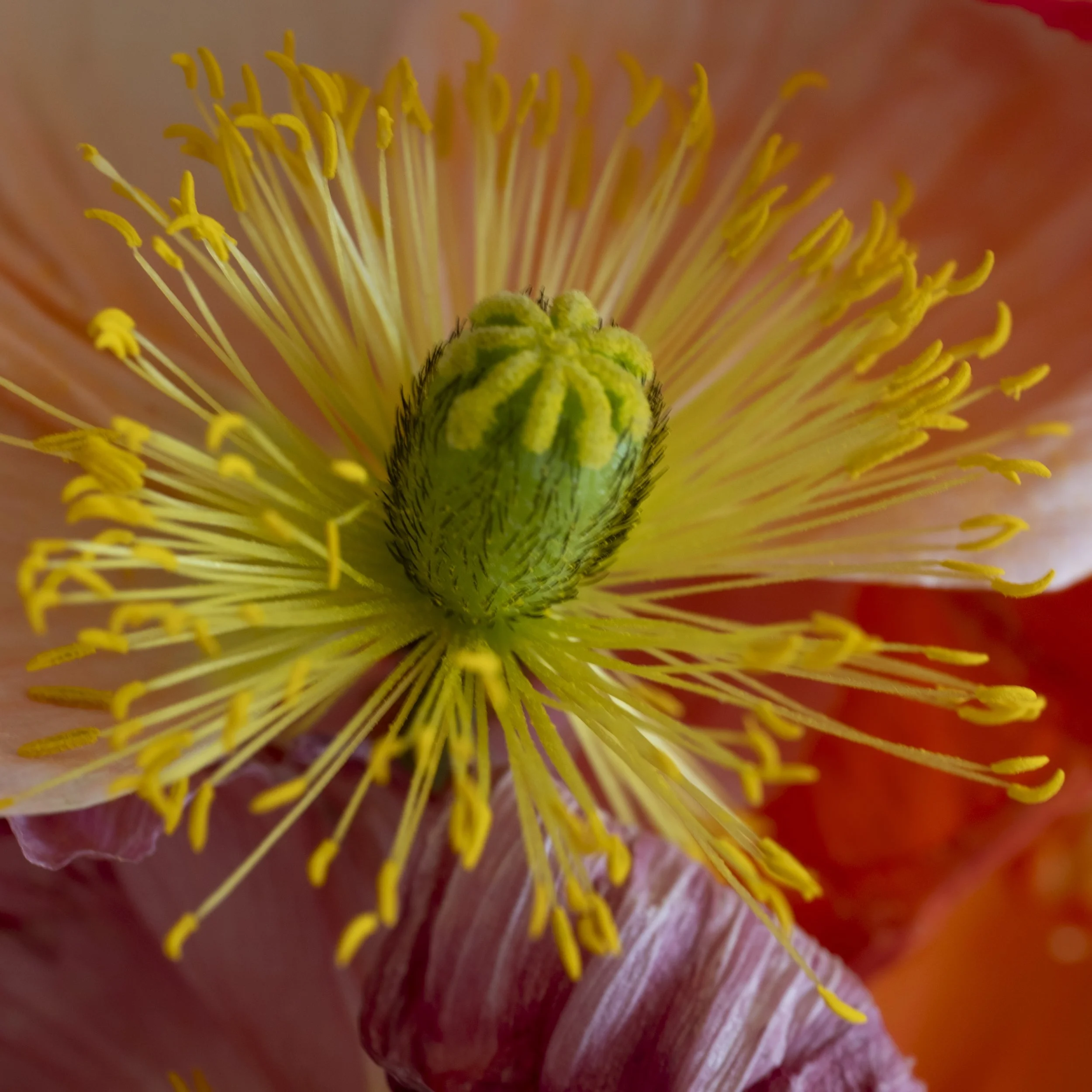 DSCF8256.jpg