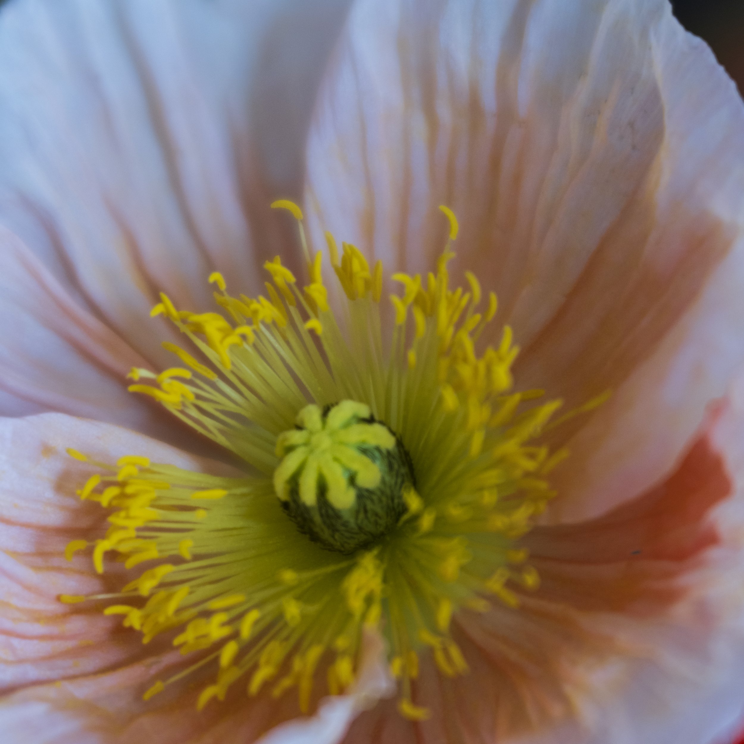 DSCF8193.jpg