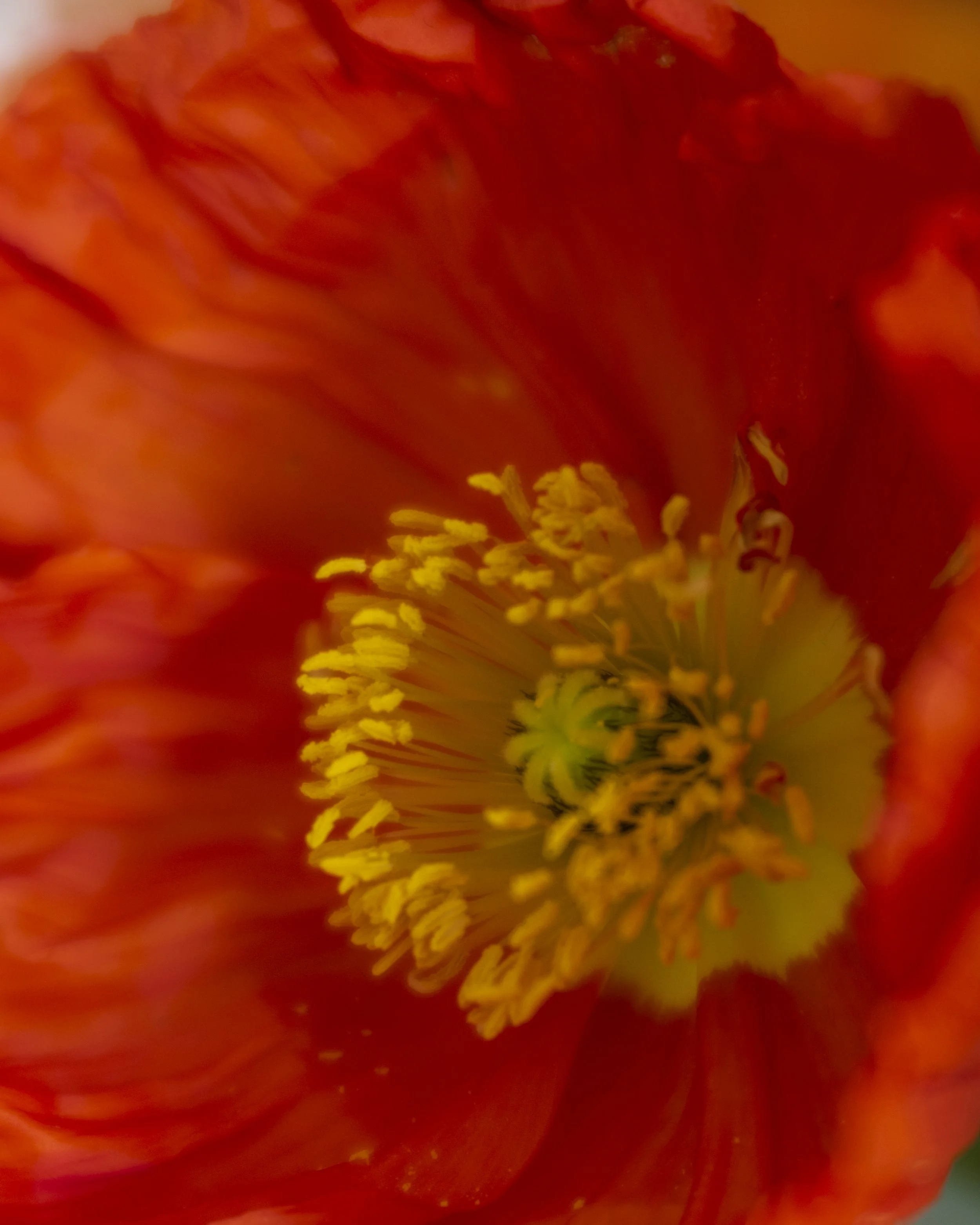 DSCF8192.jpg