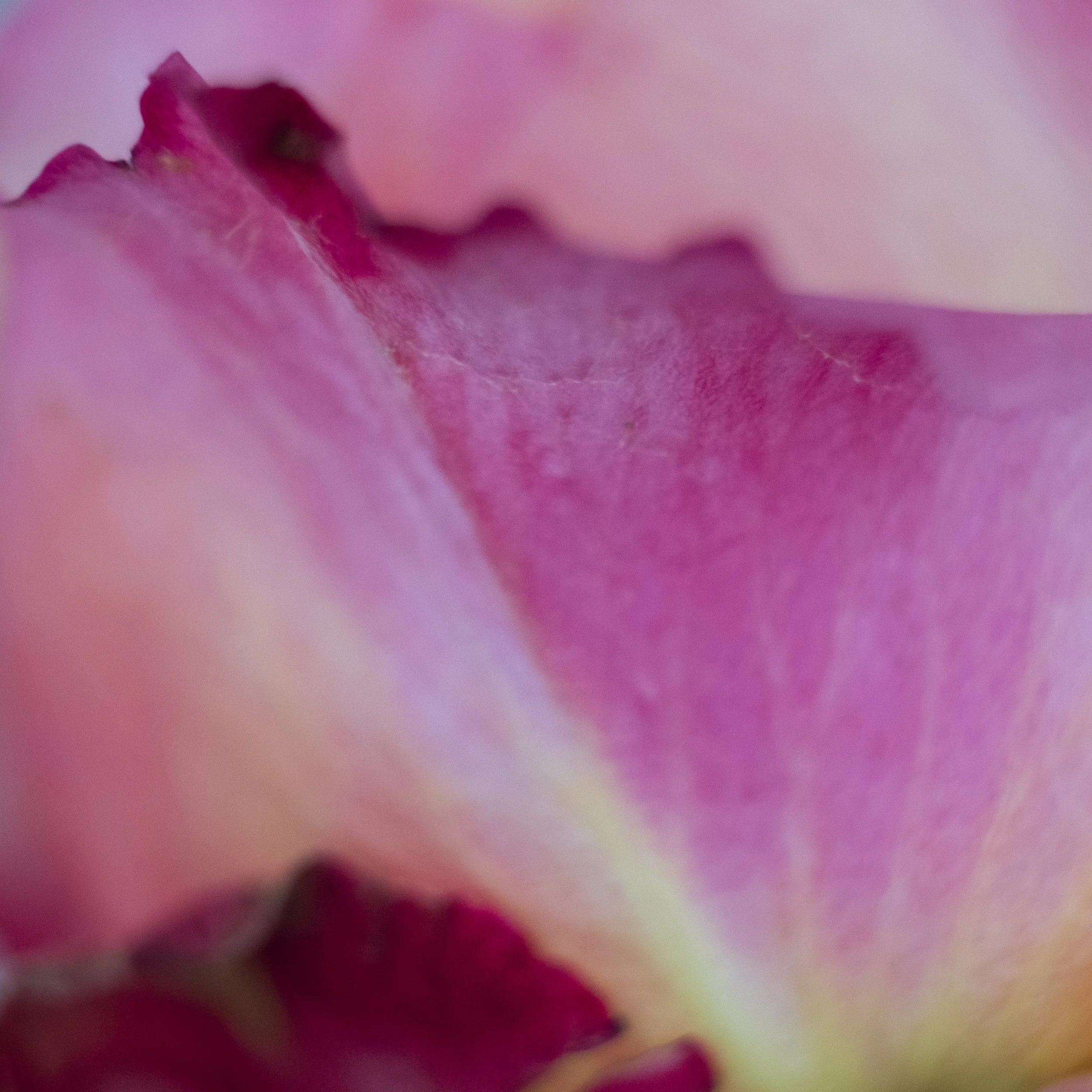 DSCF4299-2.jpg