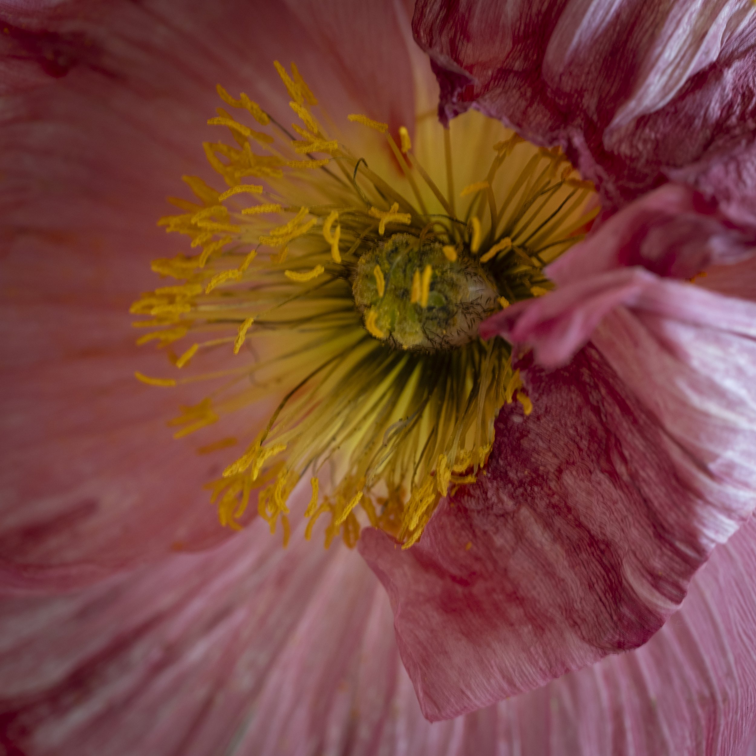 DSCF8255.jpg