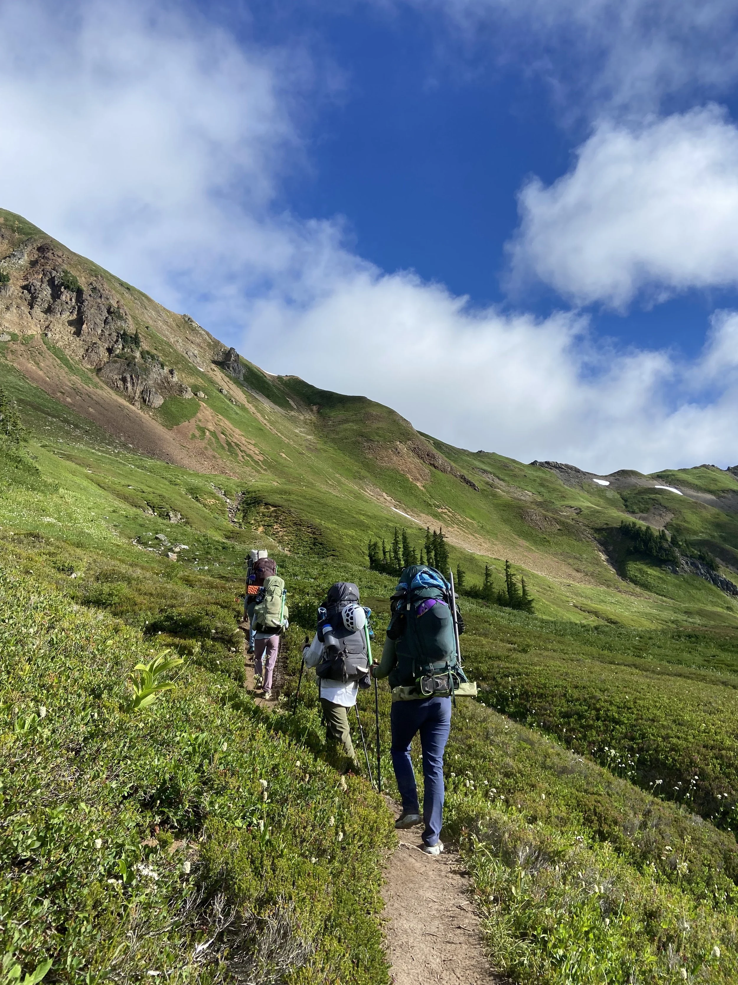 A group of hikers with large backpacks walking along a mountain trail in a lush green landscape with a steep hill and clouds in the sky.
