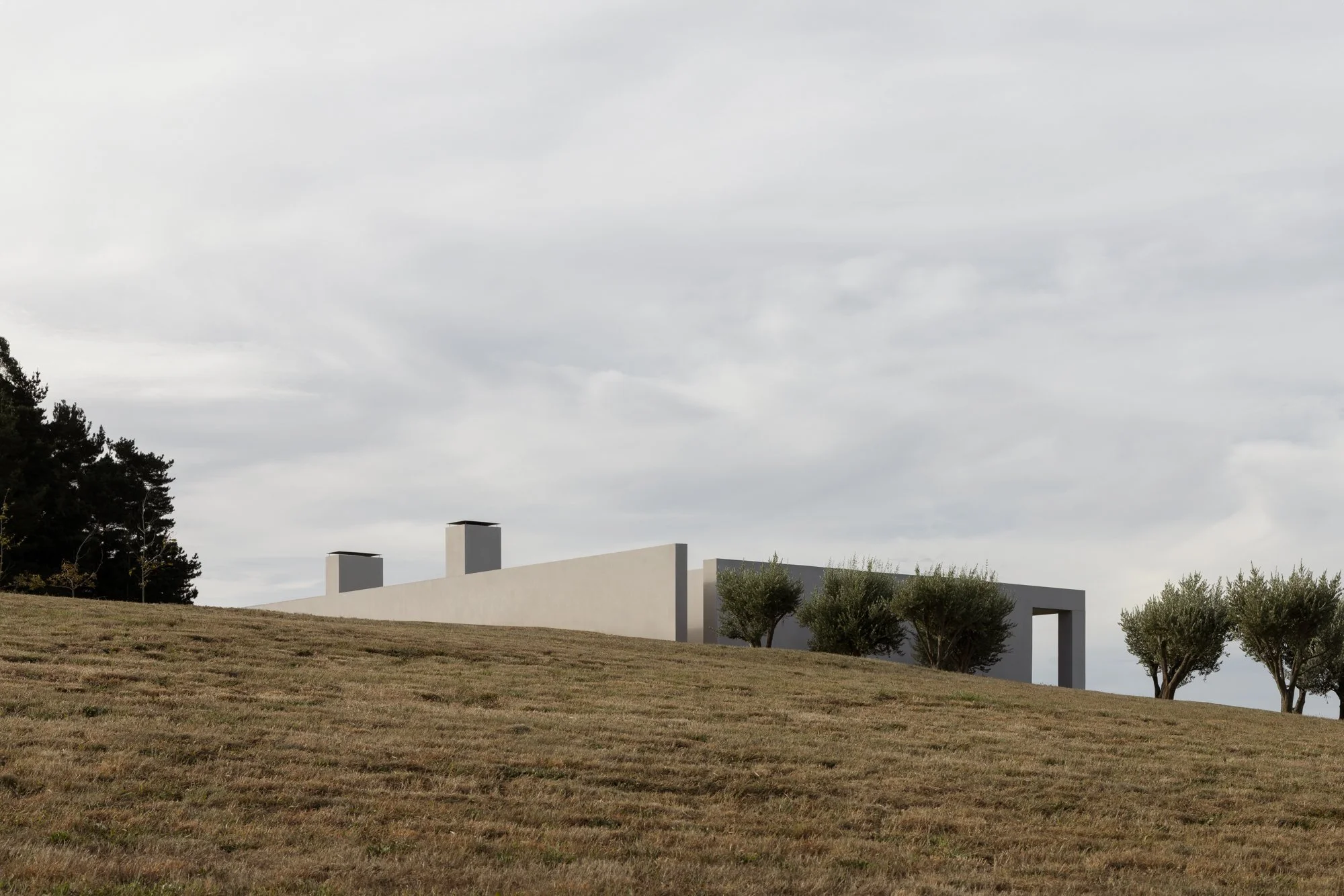 Monolithic facade emerging from the hillside at EPSC Residence.