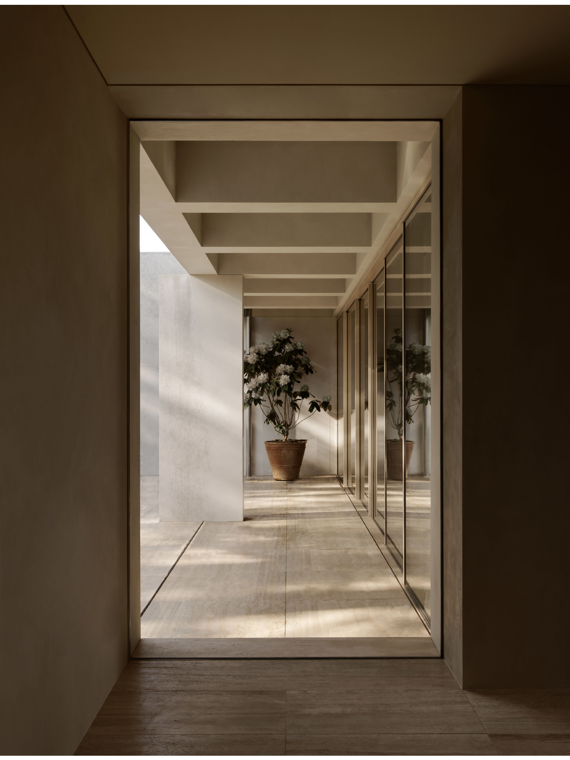 LDS II Residence_Caulfield North_ Davidov Architects_8.png