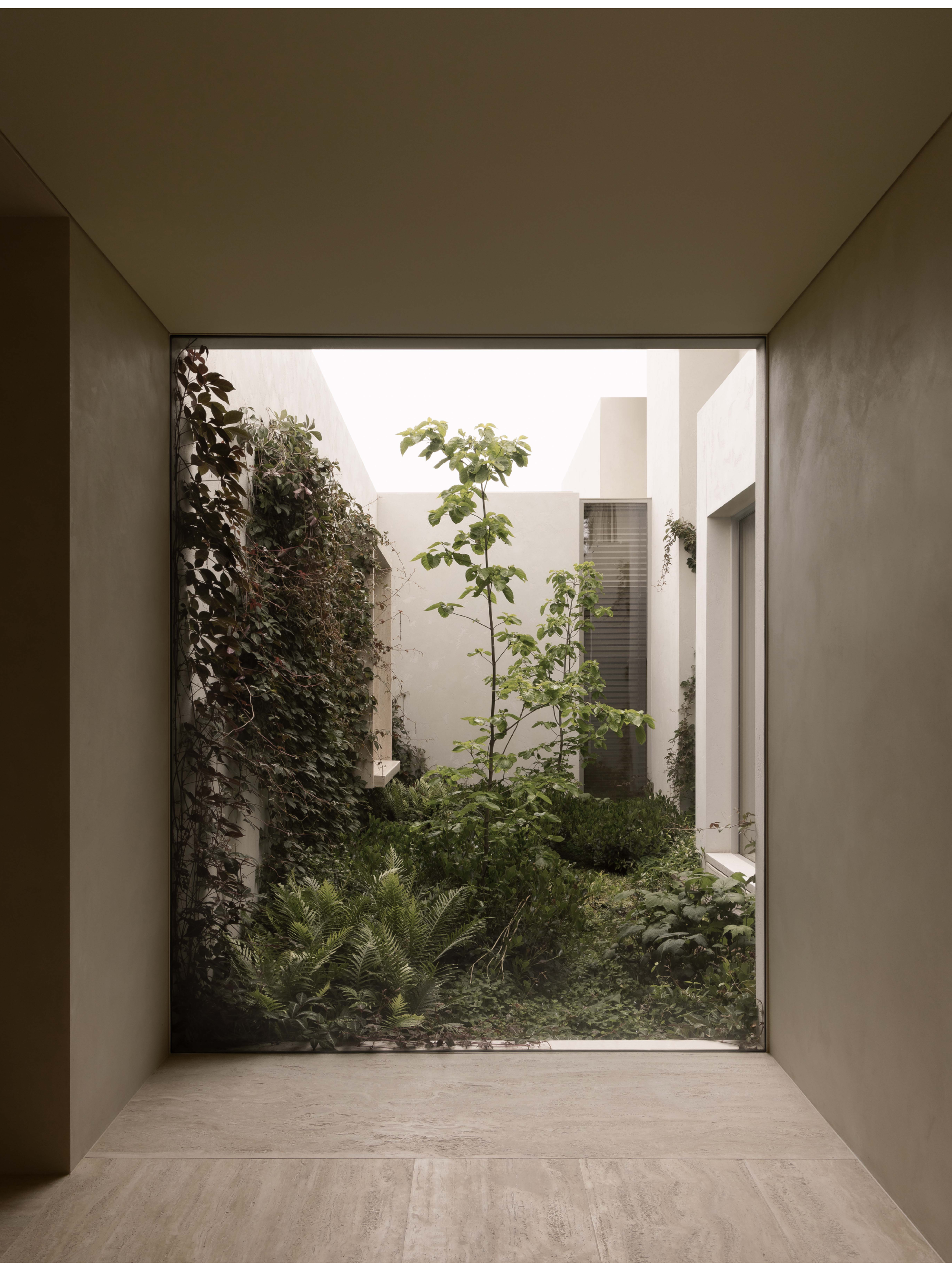 LDS II Residence_Caulfield North_ Davidov Architects_10.png