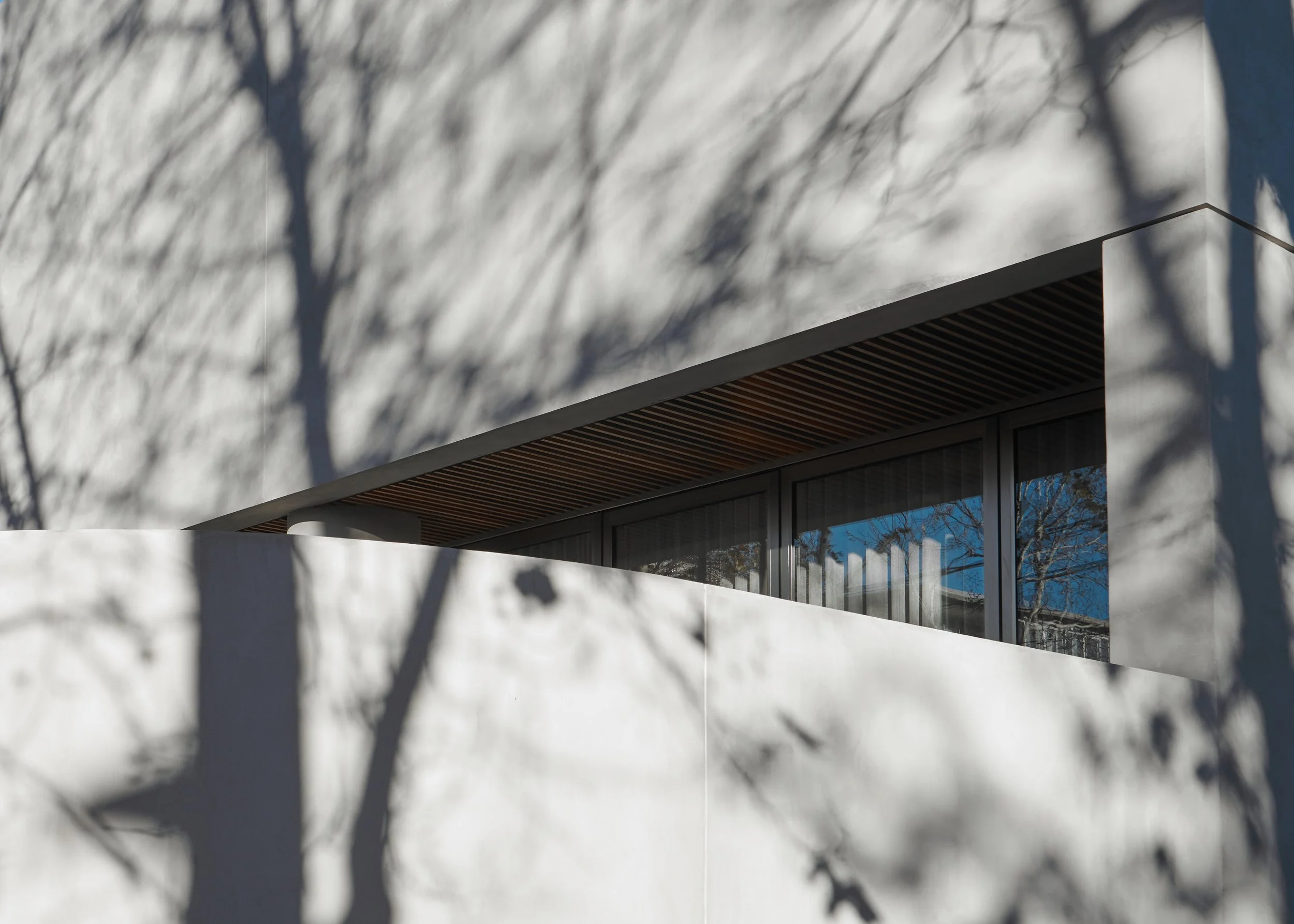 Monolithic concrete facade by Davidov Architects.