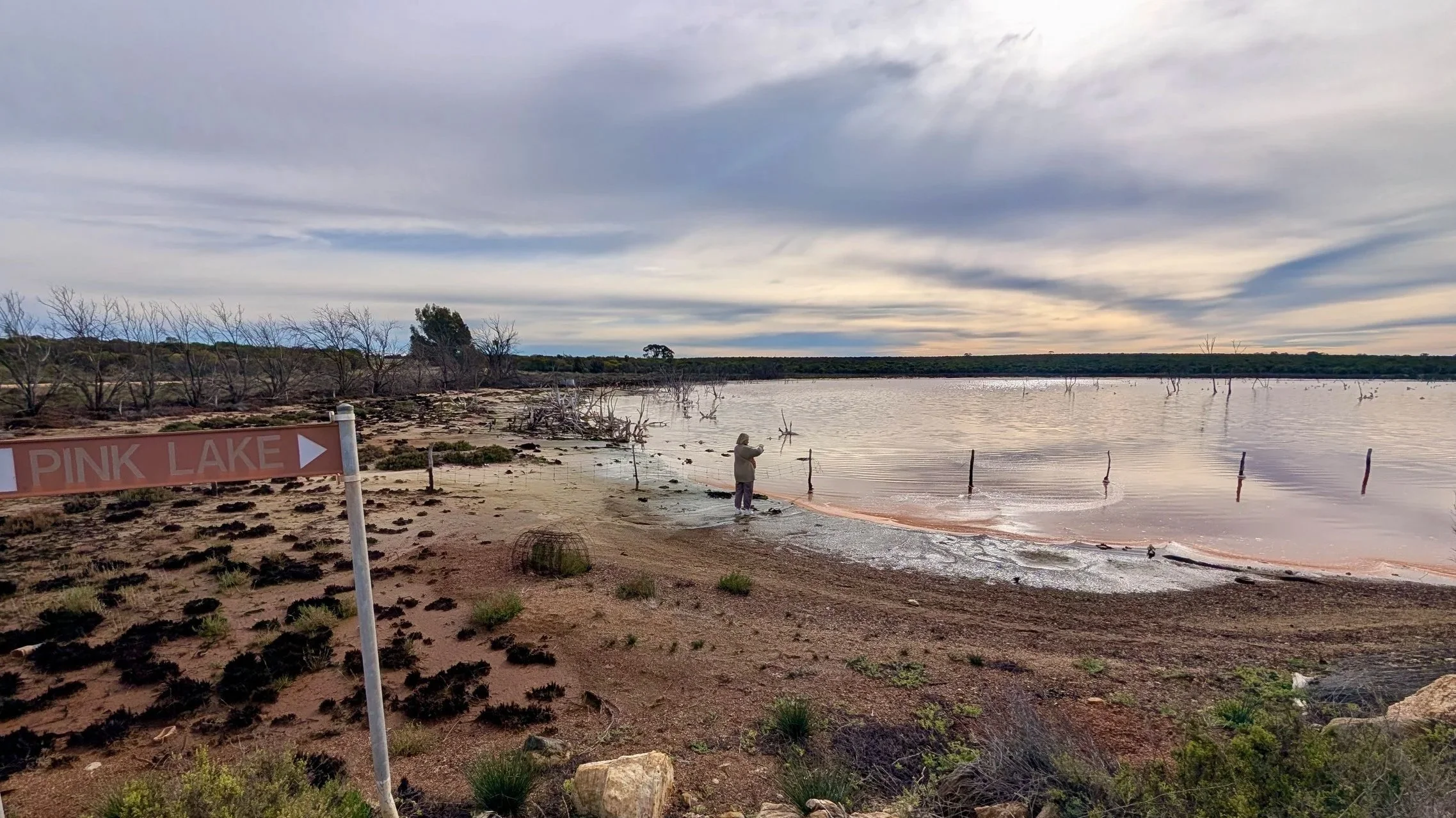 Sandra Tinari artist pink salt lake paintings visiting a Western Australian pink salt lake