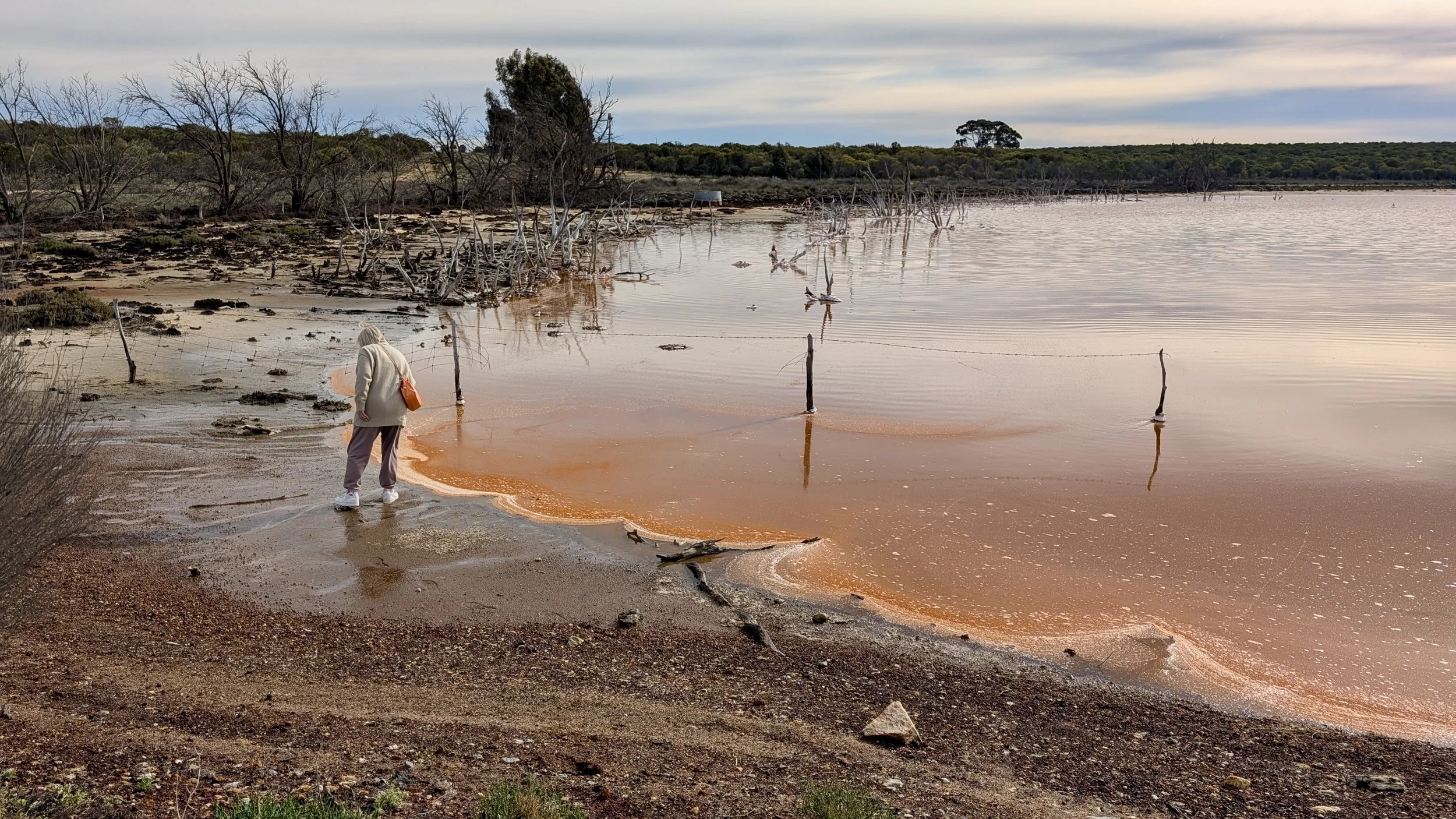 Sandra Tinari artist pink salt lake paintings visiting a Western Australian pink salt lake