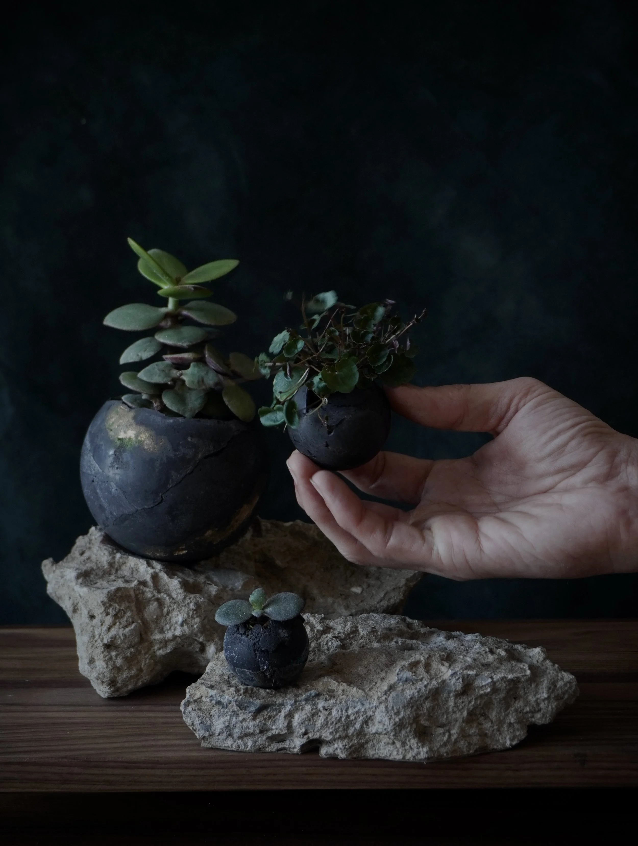 48CBCA1E-E9D2-4791-8BC4-A3509404B181_1_201_a 3.jpg